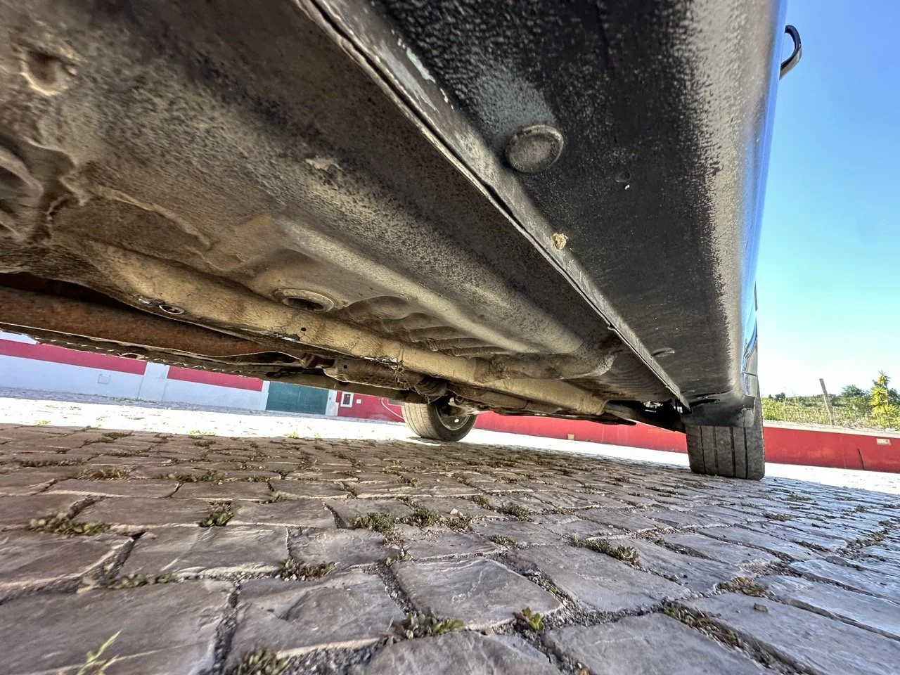 IMG_3137 – grande.jpeg