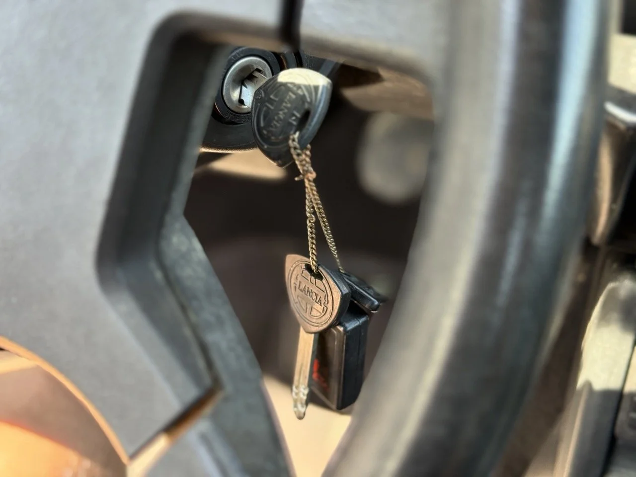 IMG_1909 – grande.jpeg