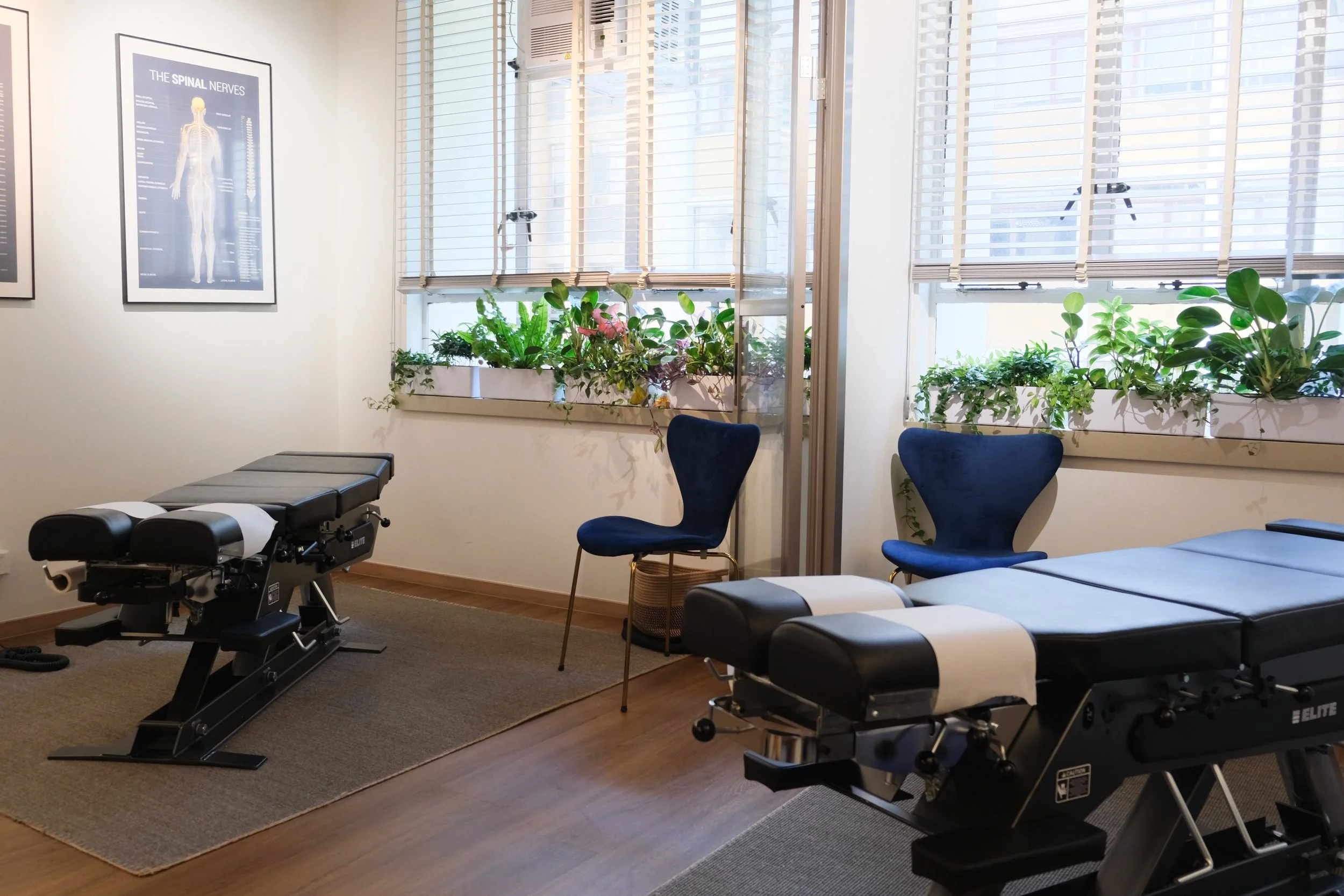 Elevate Life Chiropractic Care-31.jpg