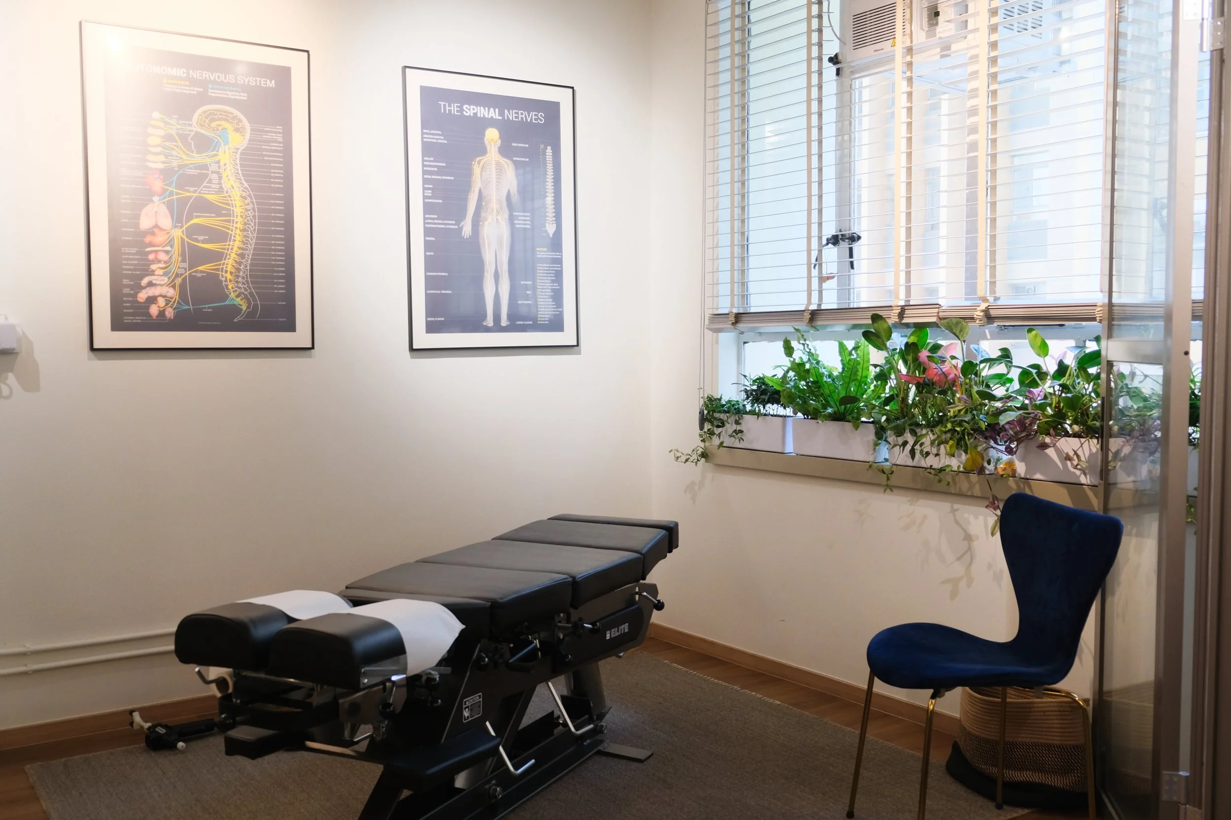 Elevate Life Chiropractic Care-32.jpg