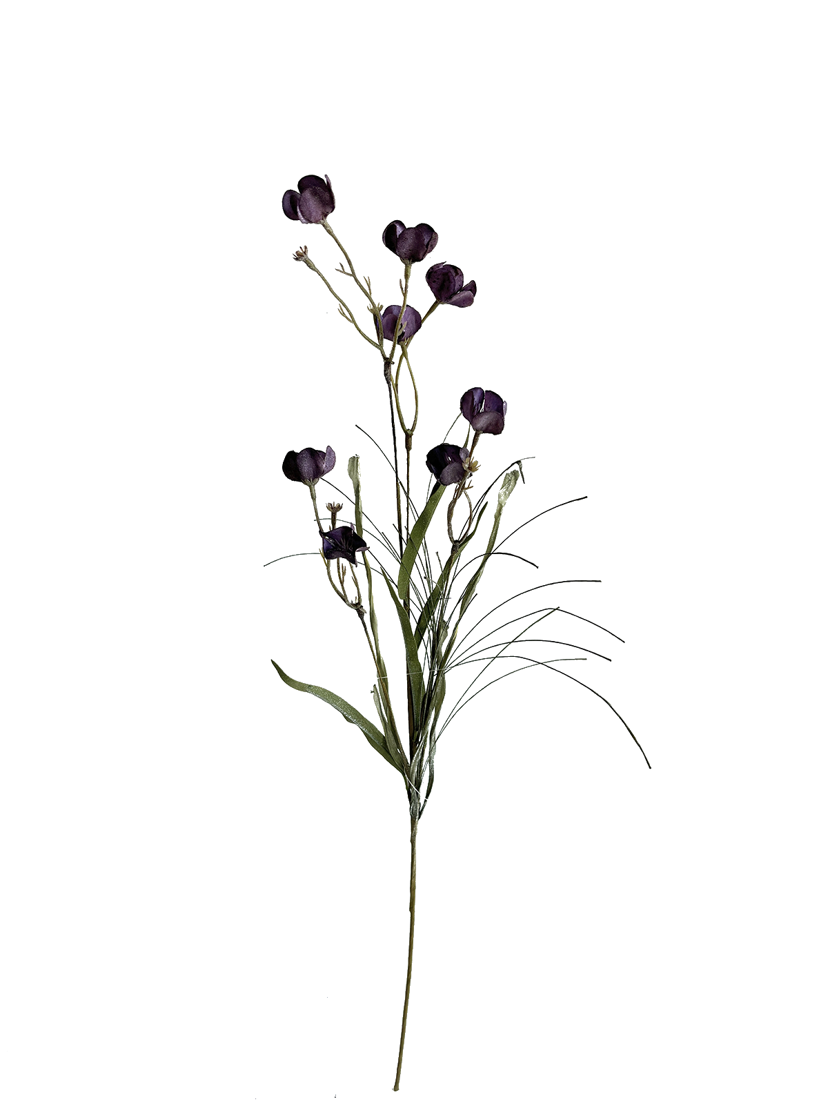 IMG_1109(1).png