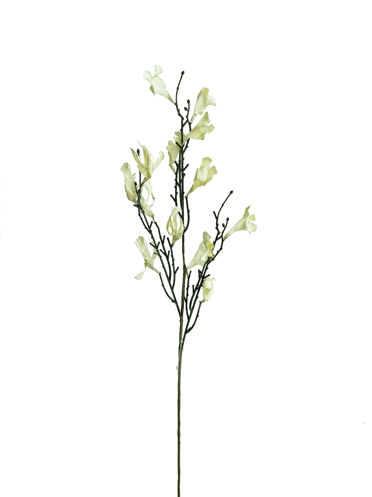 IMG_1202.png