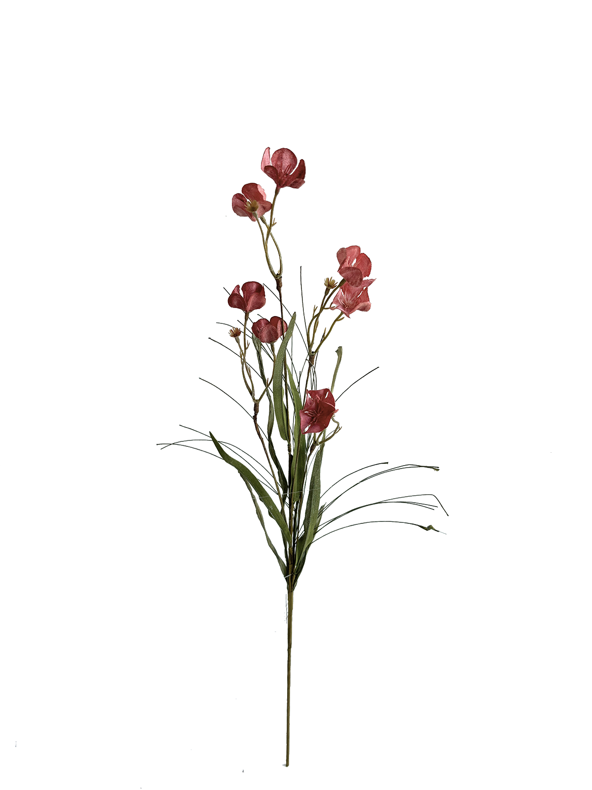 IMG_1107(1).png