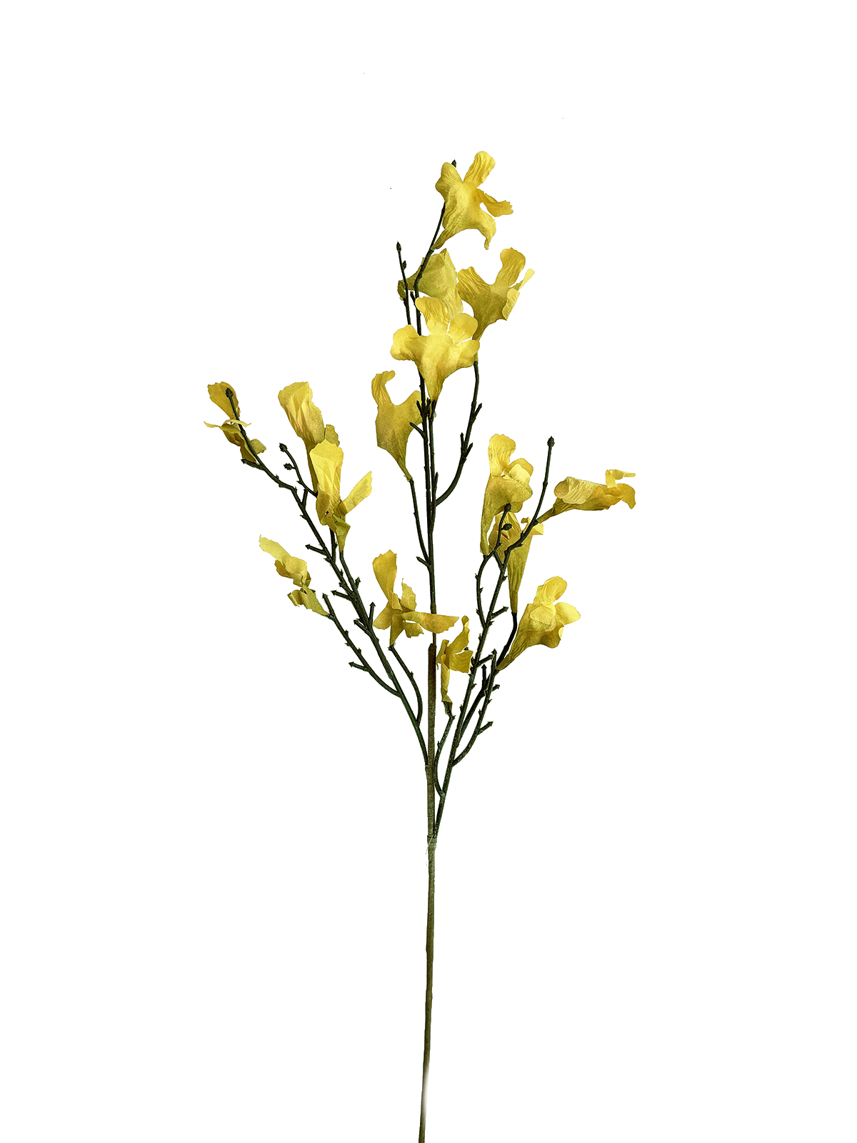 IMG_1195.png