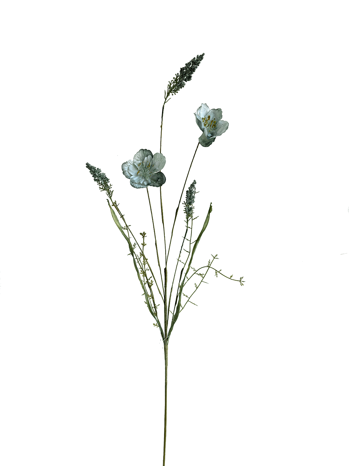 IMG_1086(1).png