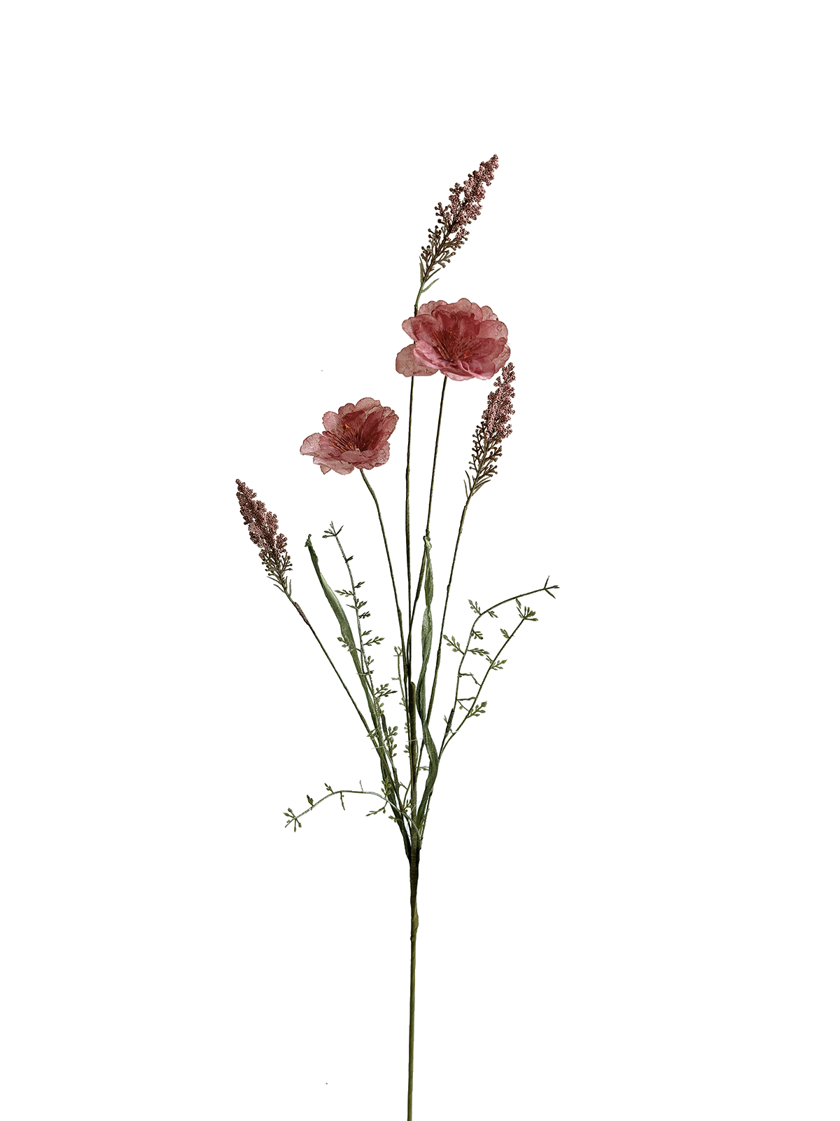 IMG_1092(1).png