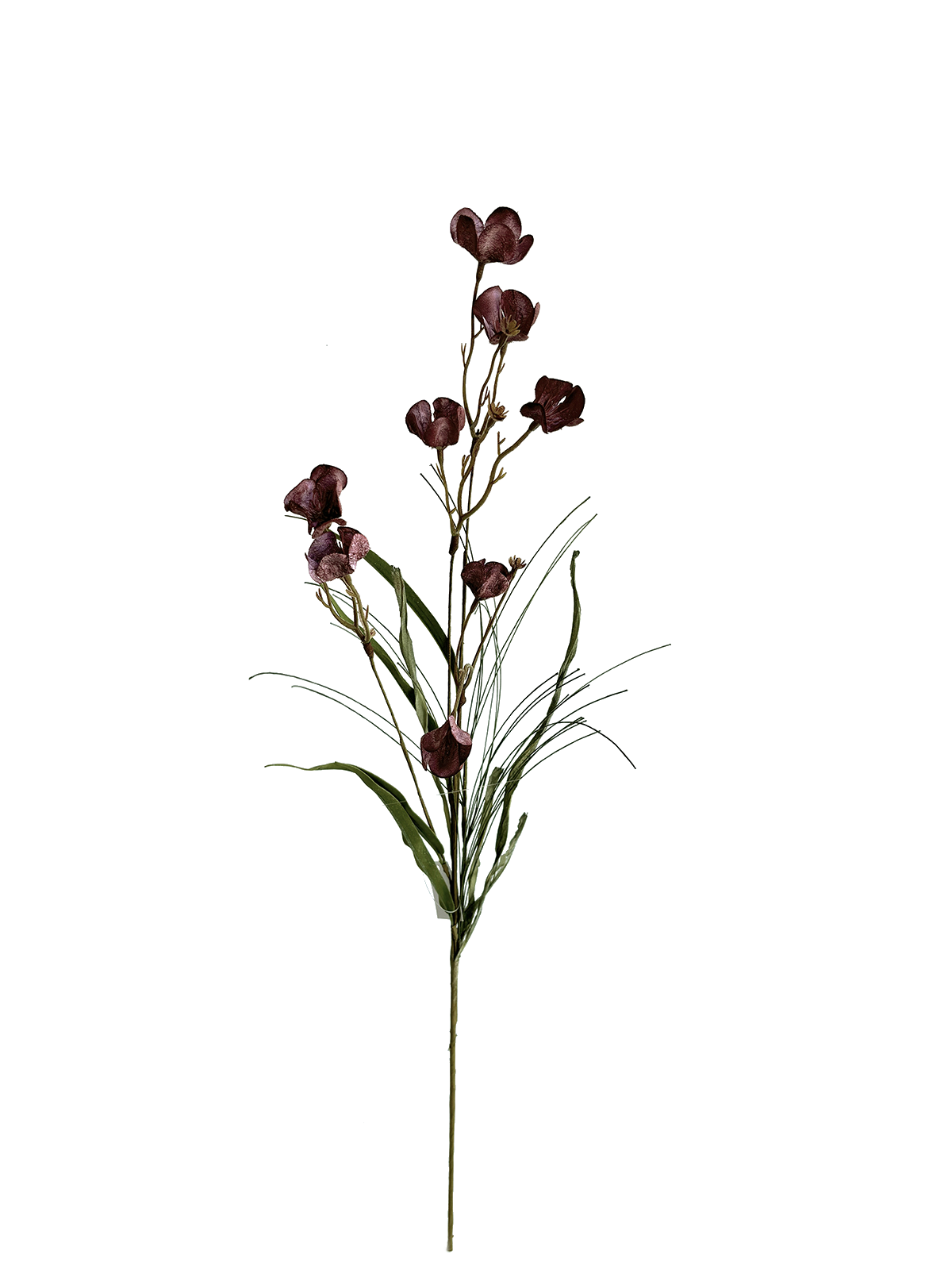 IMG_1105(1).png