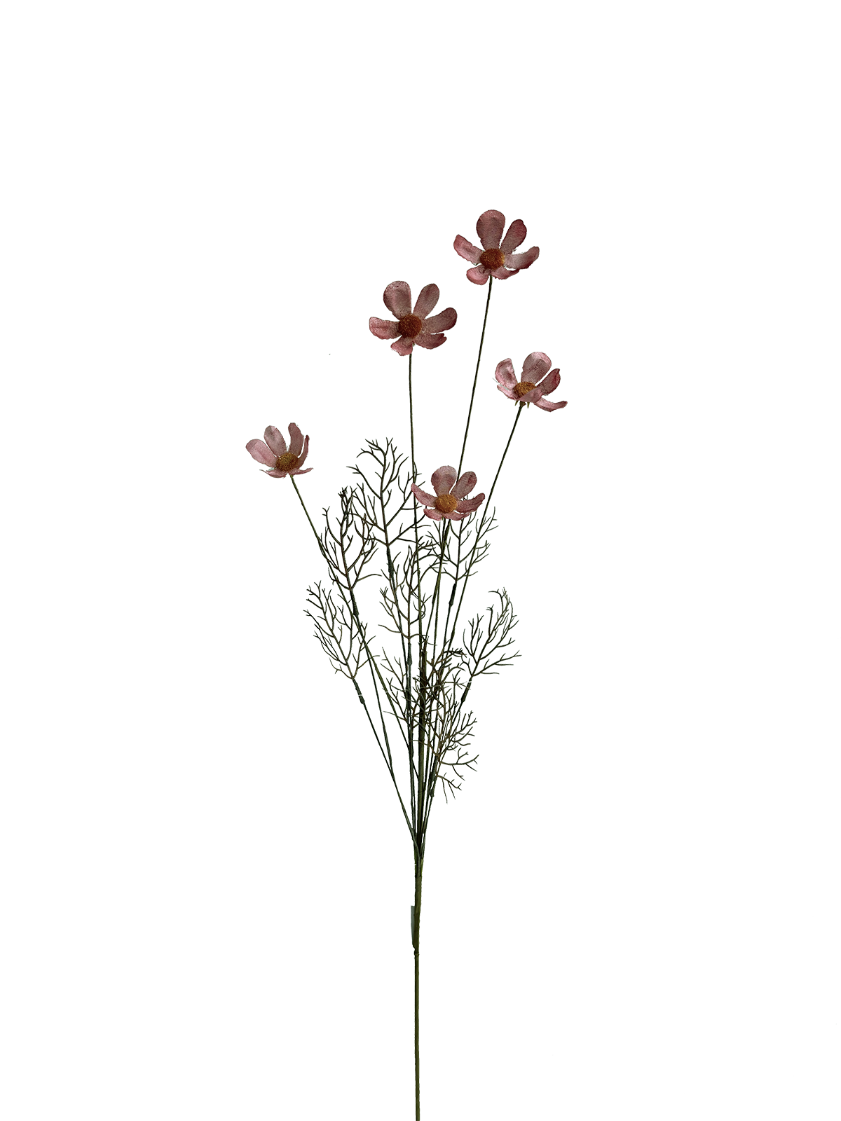 IMG_0886.png