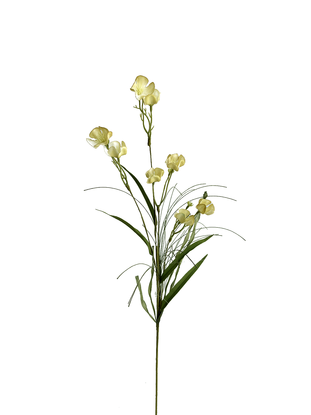 IMG_1100(1).png