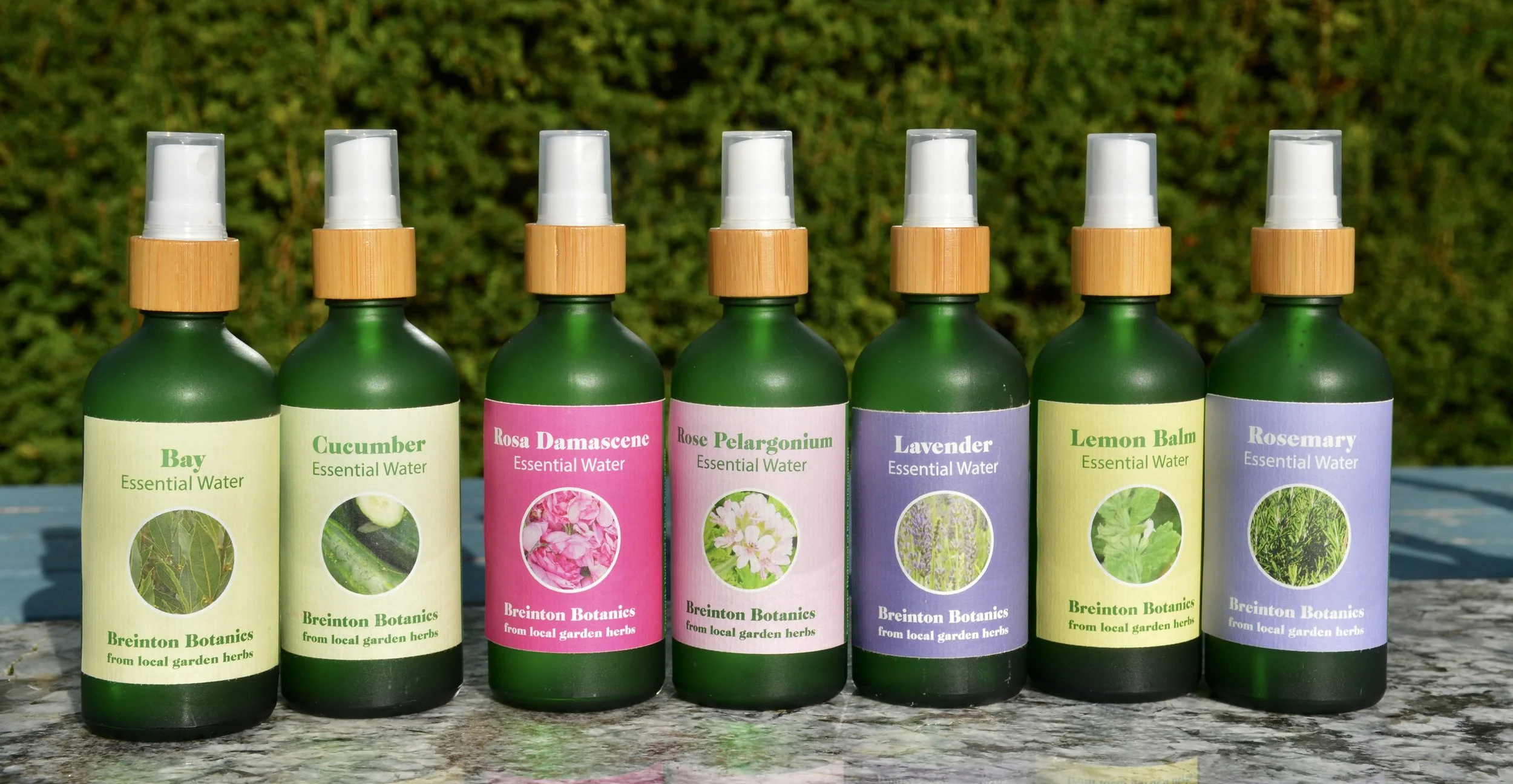 Family hydrosols face cleansing.JPG