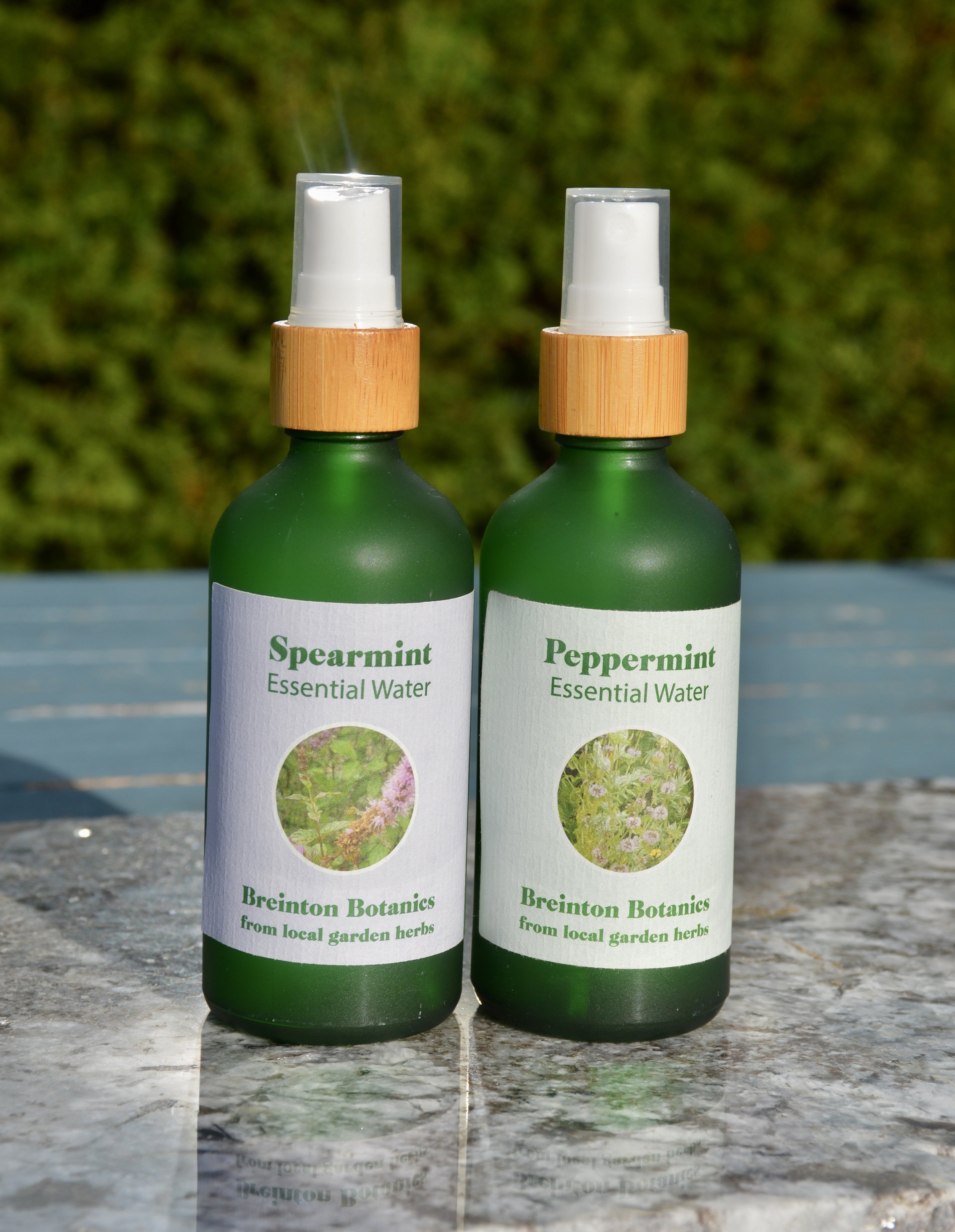 Family hydrosols mint.JPG