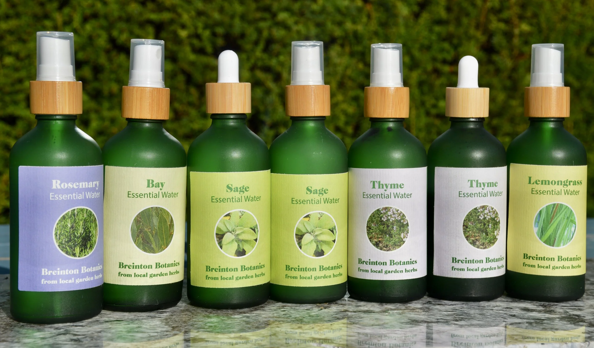 Family hydrosols cooking.JPG