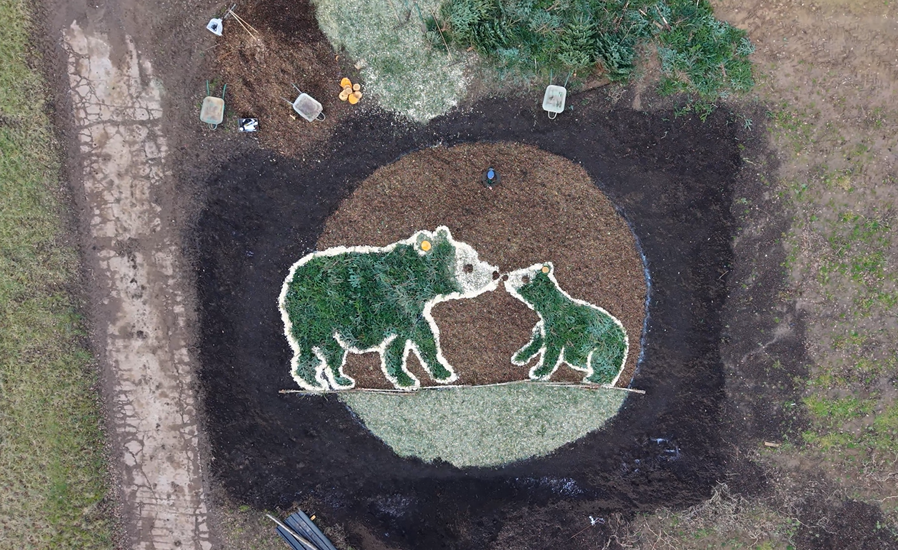 NSEC Support Conservation Themed Art Installation made of Recycled Christmas Trees at Noah’s Ark Zoo Farm