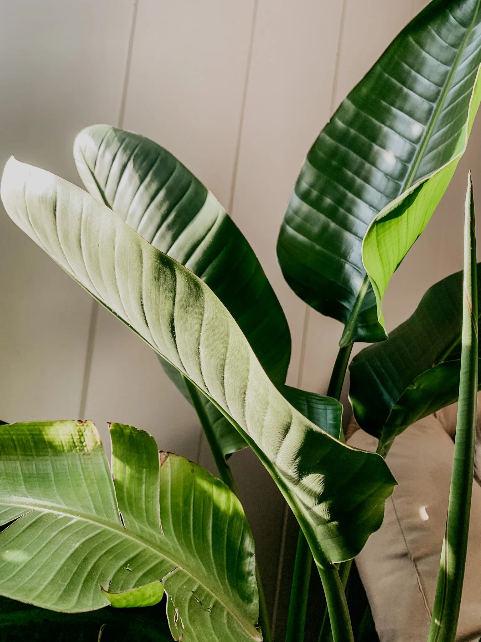 The Silent Treatment: What It Really Communicates (and what to do instead)