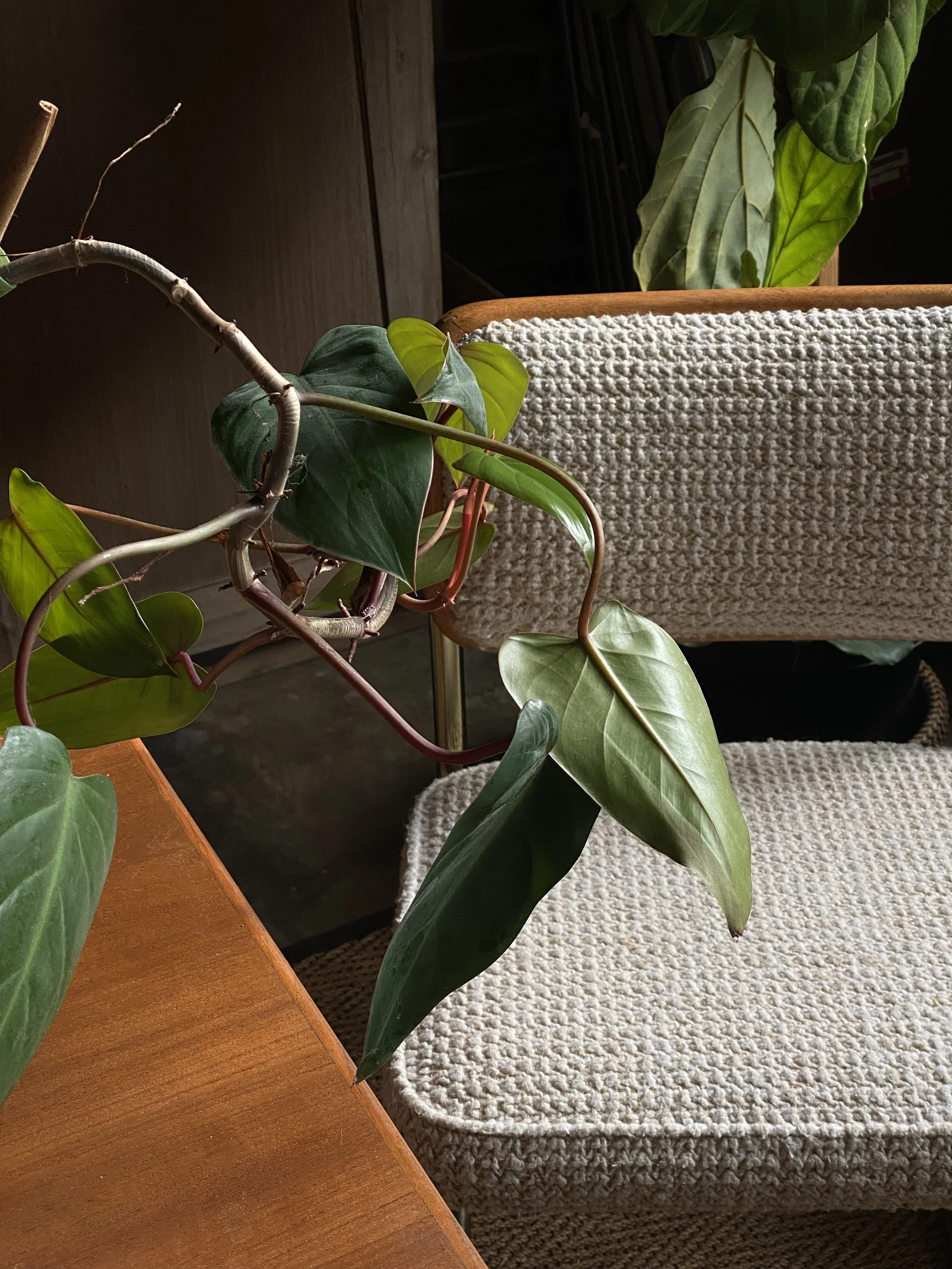 Reclaim Your Calm: Practical Strategies for Managing Stress and Preventing Burnout.