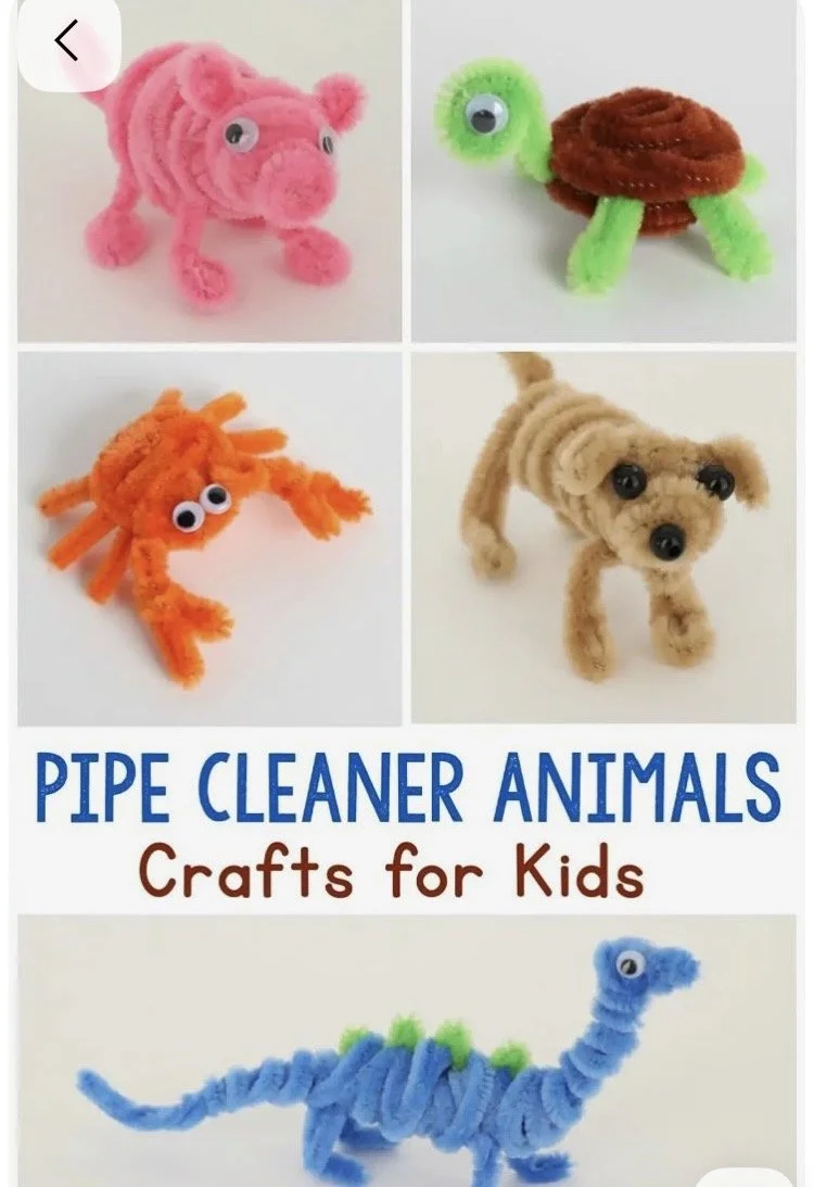 PIPE CLEANER CREATIONS 