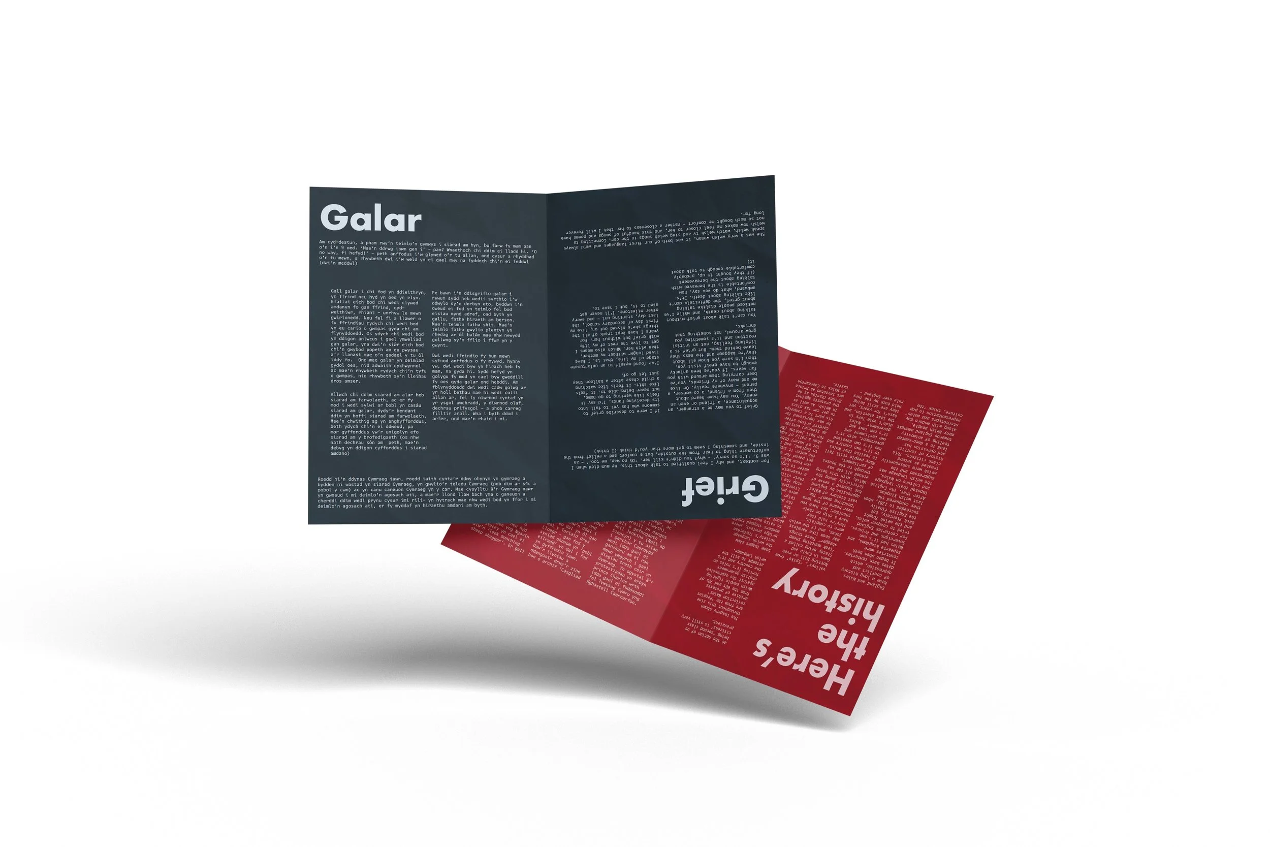 Three folded flyers or brochures, one dark blue, one red, and one dark green, are spread out on a plain white background. The flyers contain blocks of text in white and different fonts, with some words large and bold, but the text is mostly unreadable due to resolution.
