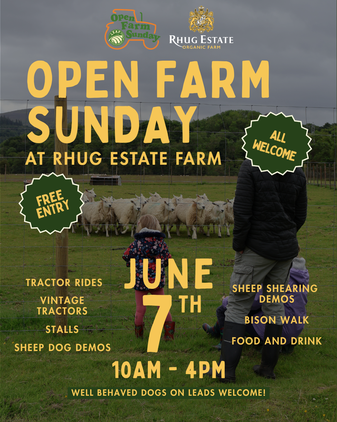 Poster advertising an open farm day event at Rhug Estate Farm on June 7th, from 10 am to 4 pm, featuring tractor rides, vintage tractors, sheep shearing demos, bison walk, sheep dog demos, food and drinks, with free entry, all welcome, and well-behav