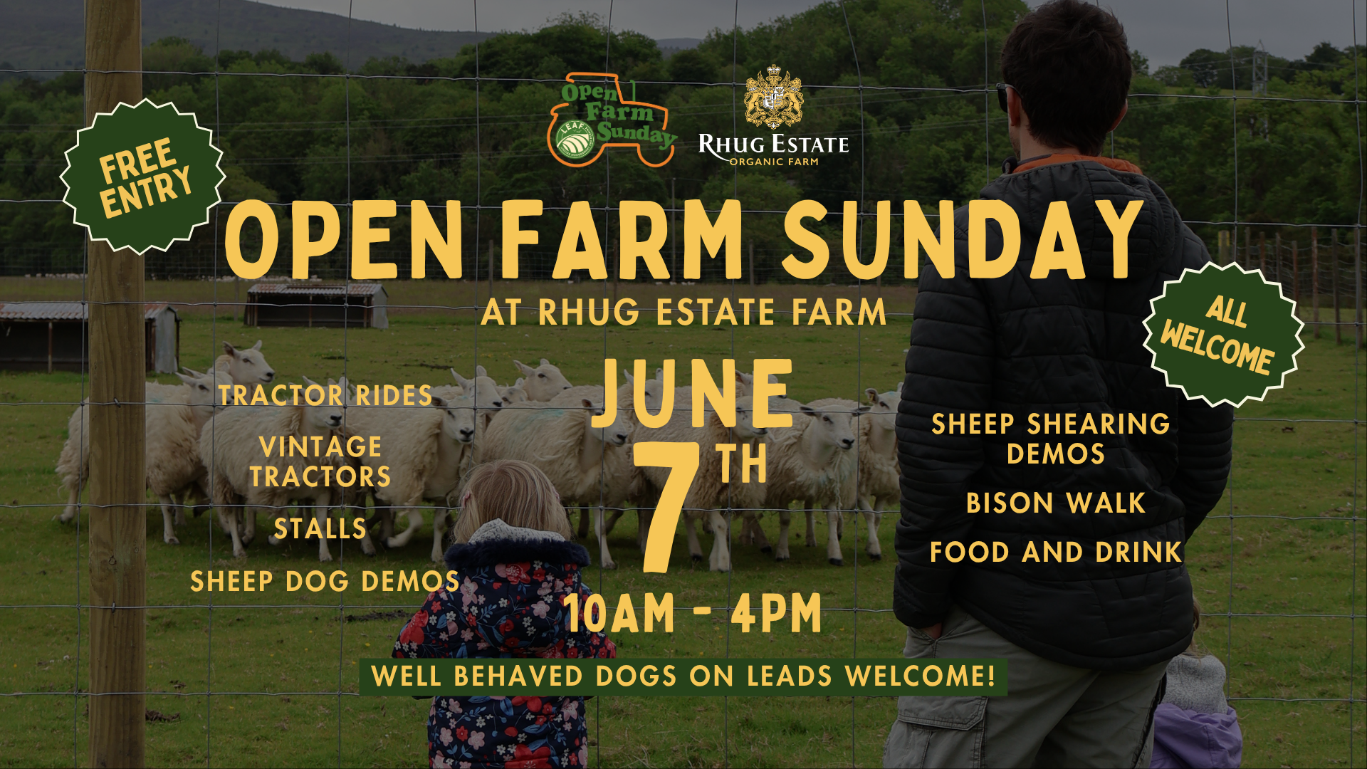 A promotional poster for an open farm day event at Rhug Estate Farm. The poster features a background of a farm with sheep behind a wire fence and a person and child observing. Text highlights free entry, open farm Sunday, and activities like tractor