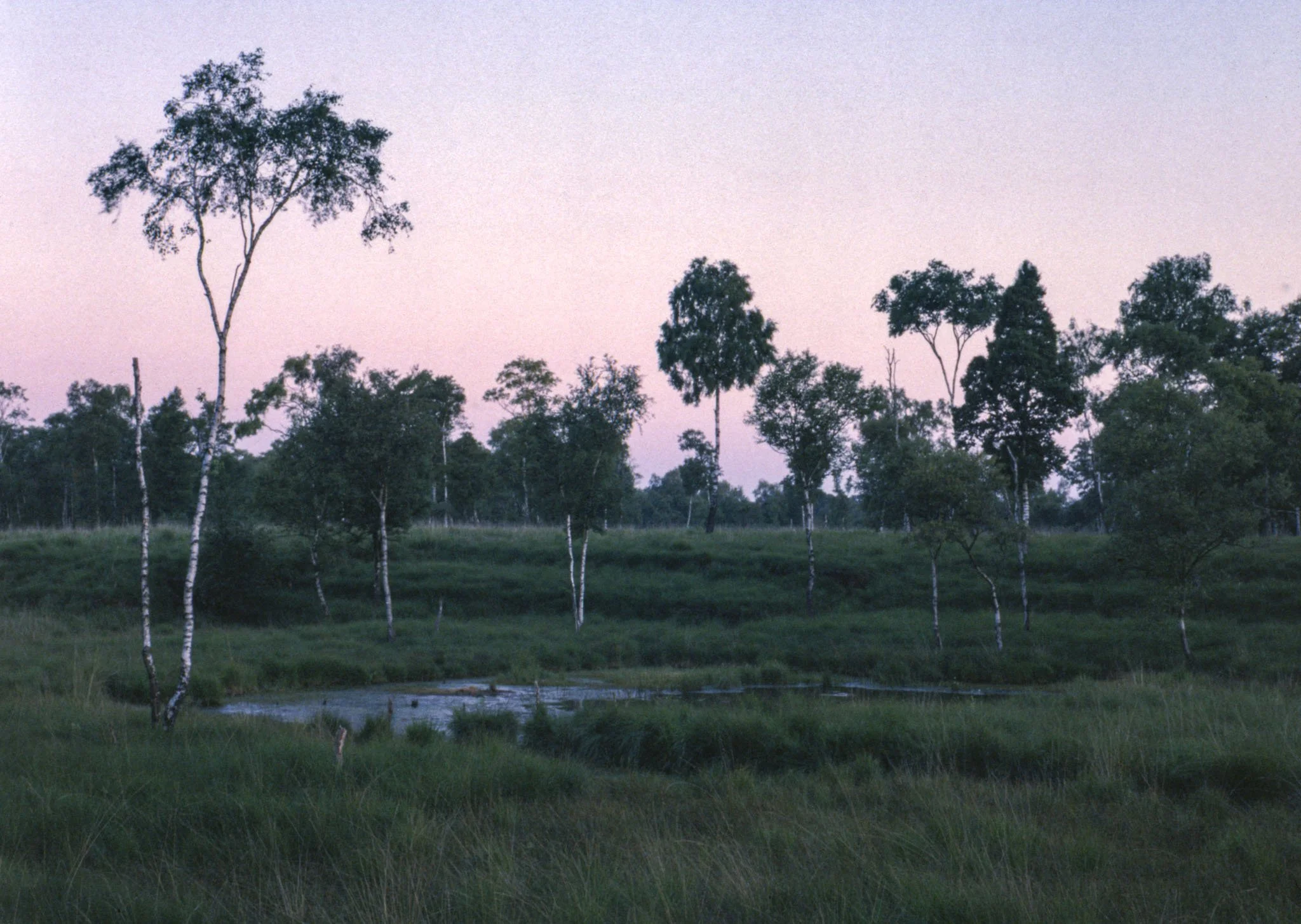 late summer eve | 2025