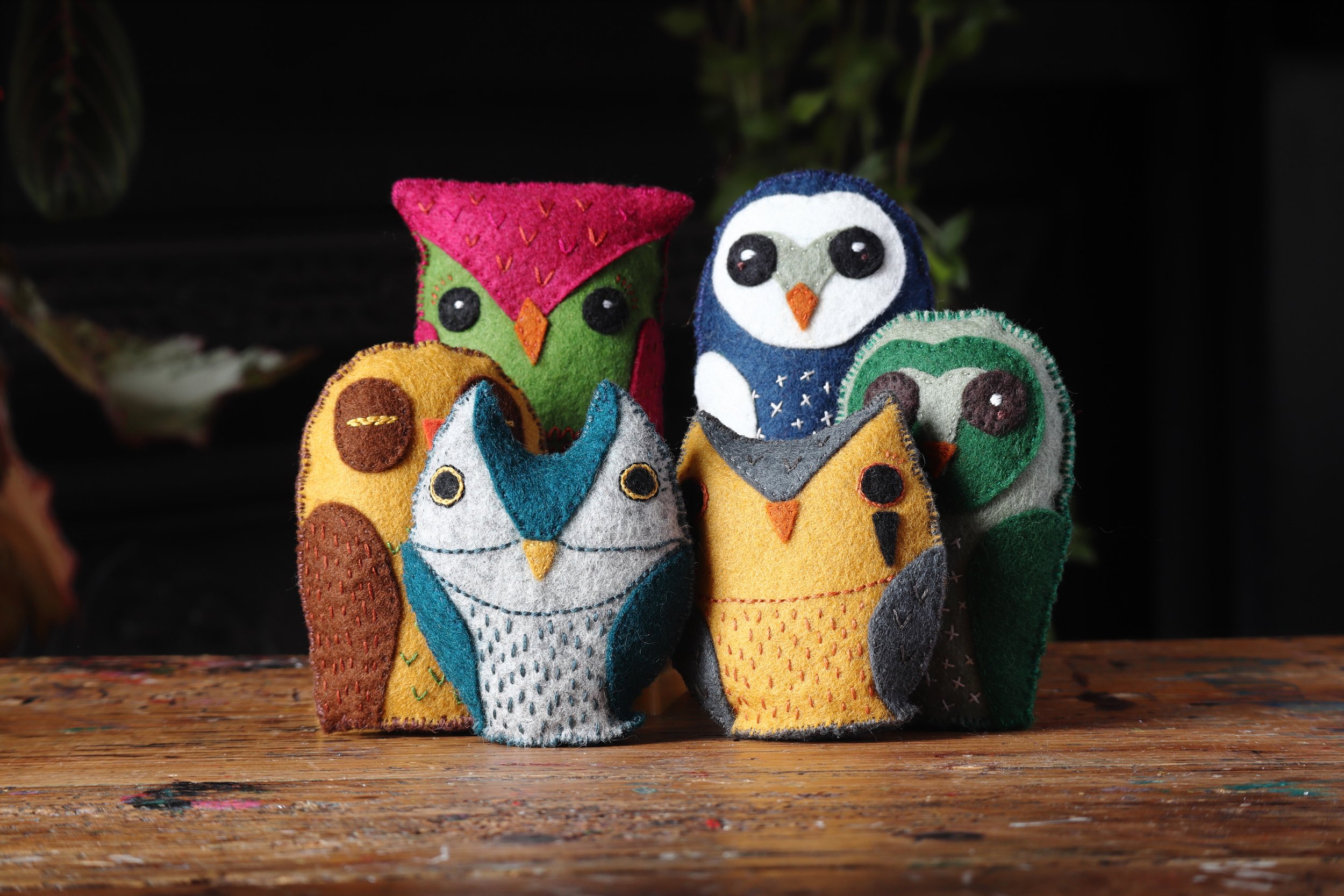 Owls Group Shot 2.JPG