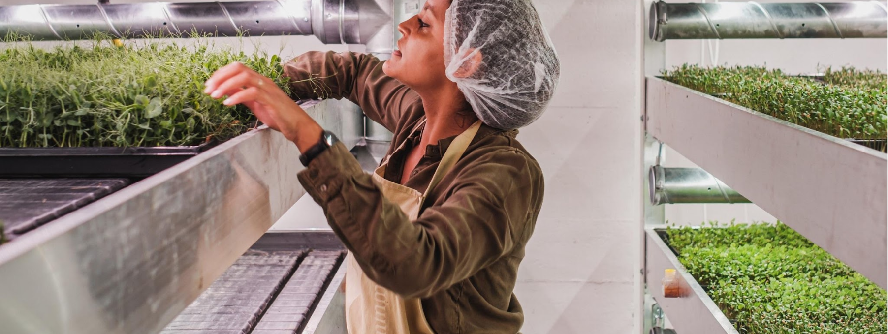 MicroFlavours Project