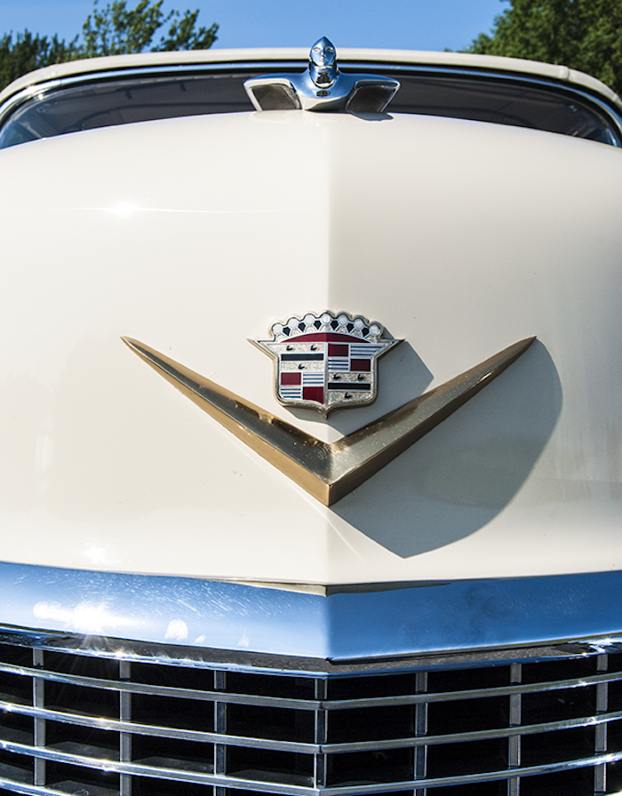 dsc_0548_web__large.png