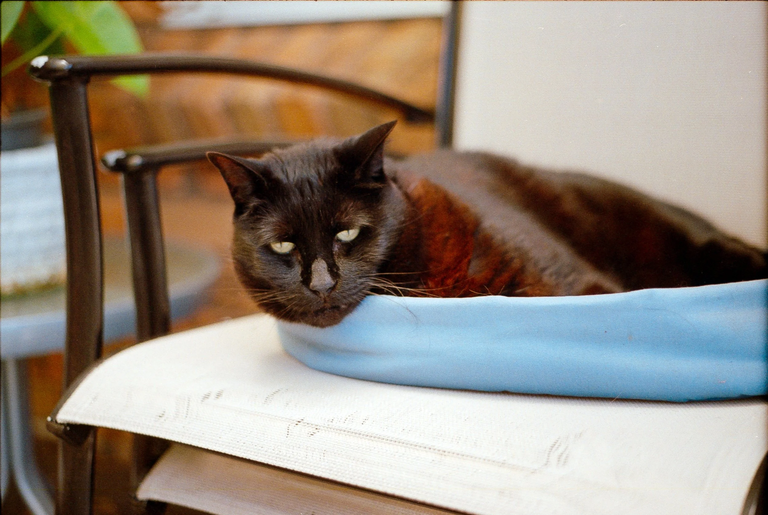 Scancomparison 05_mine.jpg