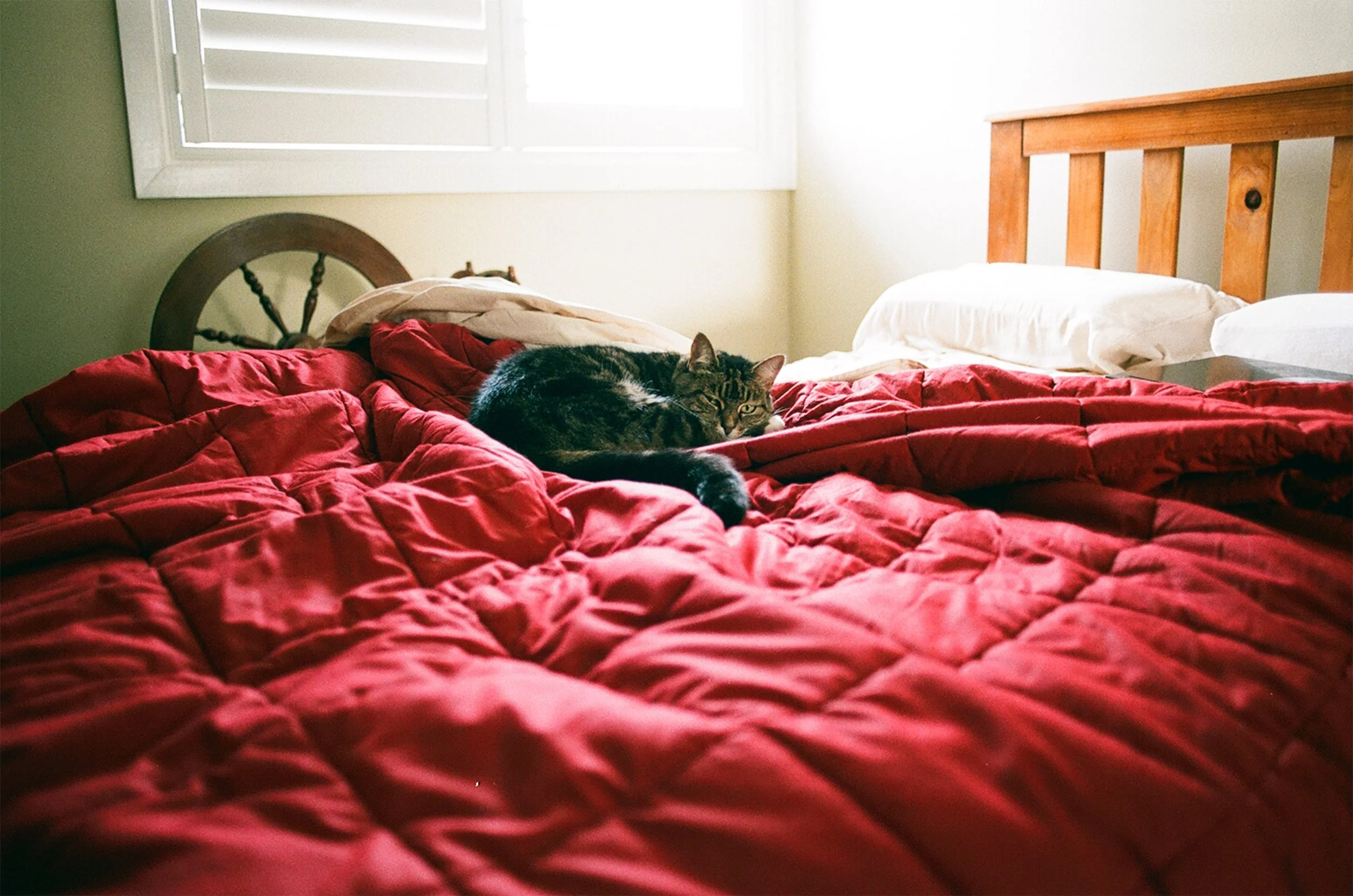 Scancomparison 06_other.jpg