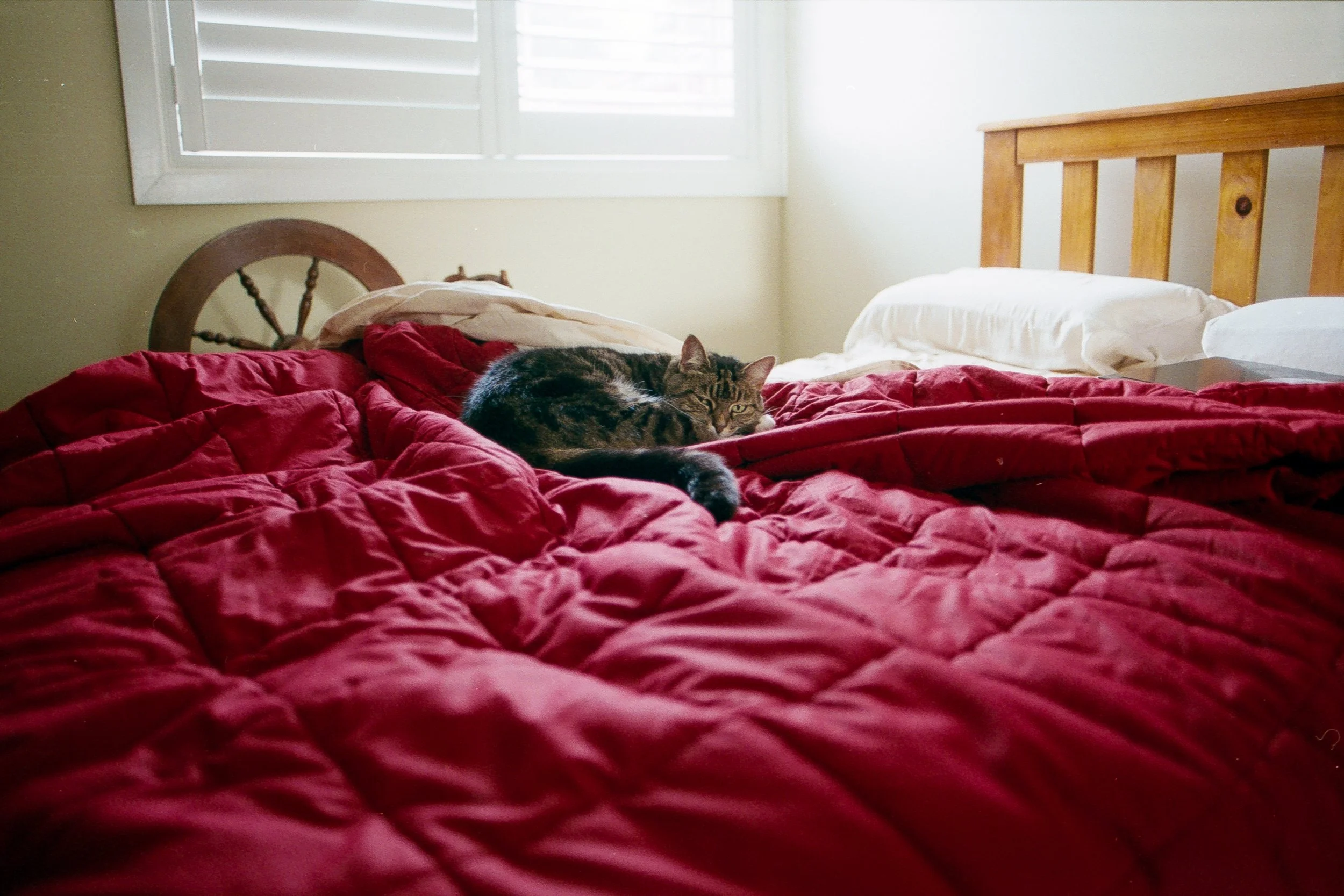 Scancomparison 06_mine.jpg