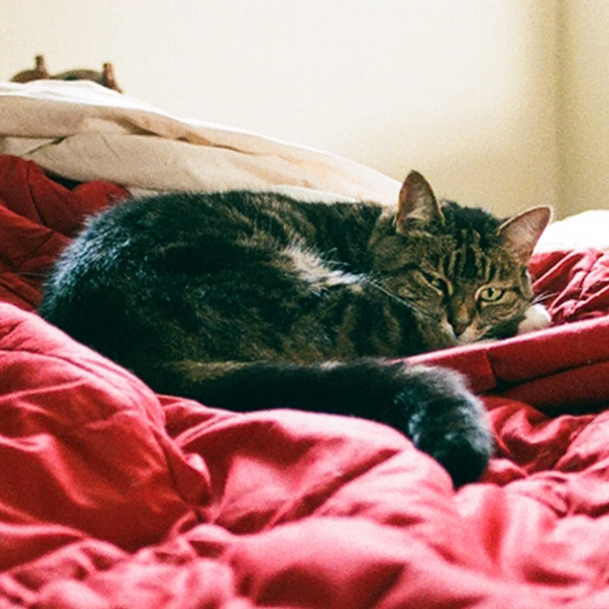 Scancomparison 07_other.jpg