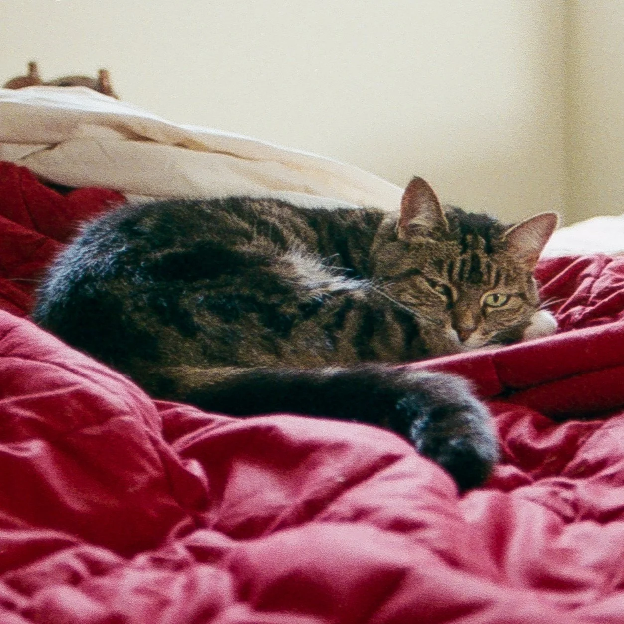 Scancomparison 07_mine.jpg