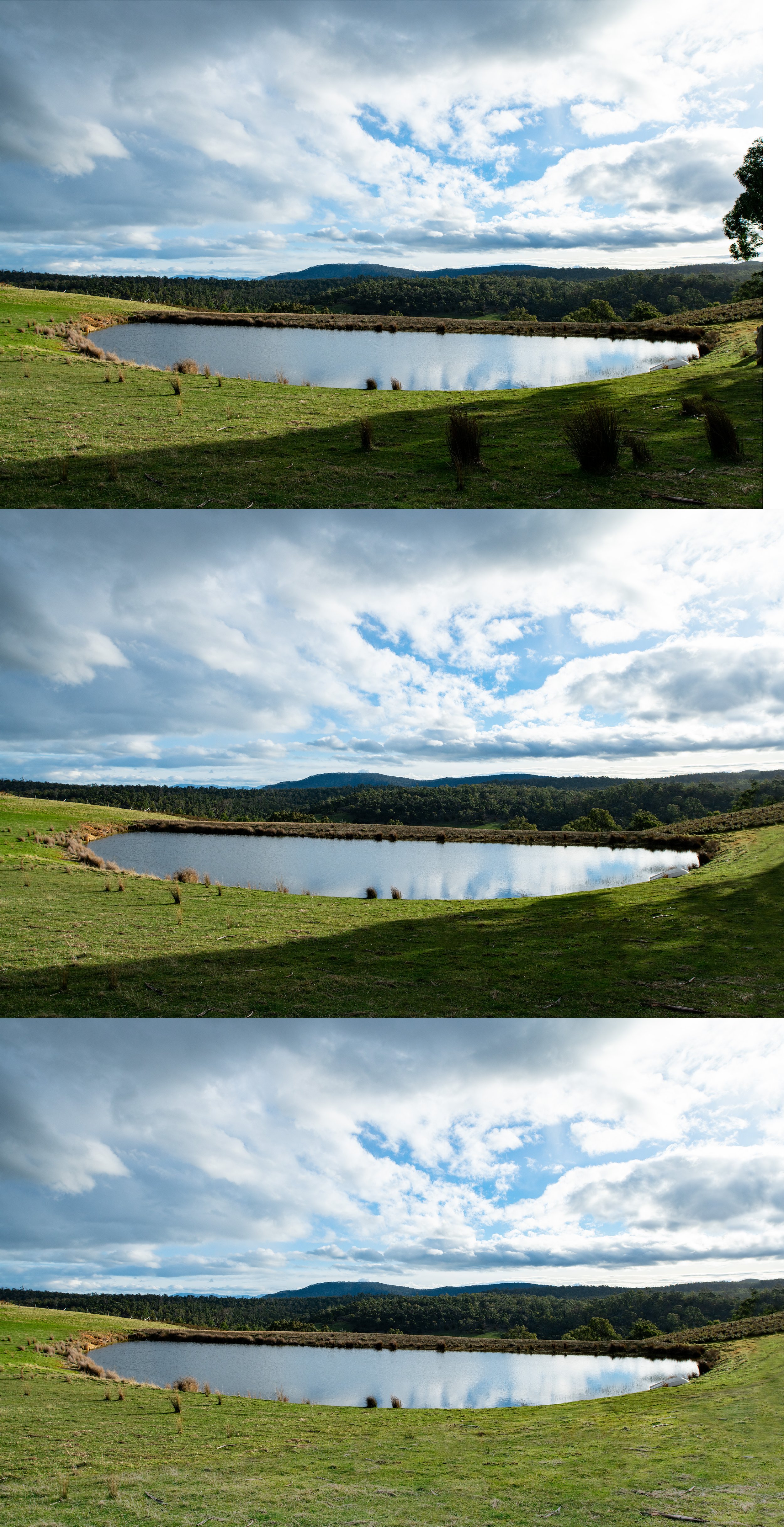 DSC01369-Edit copy.jpg