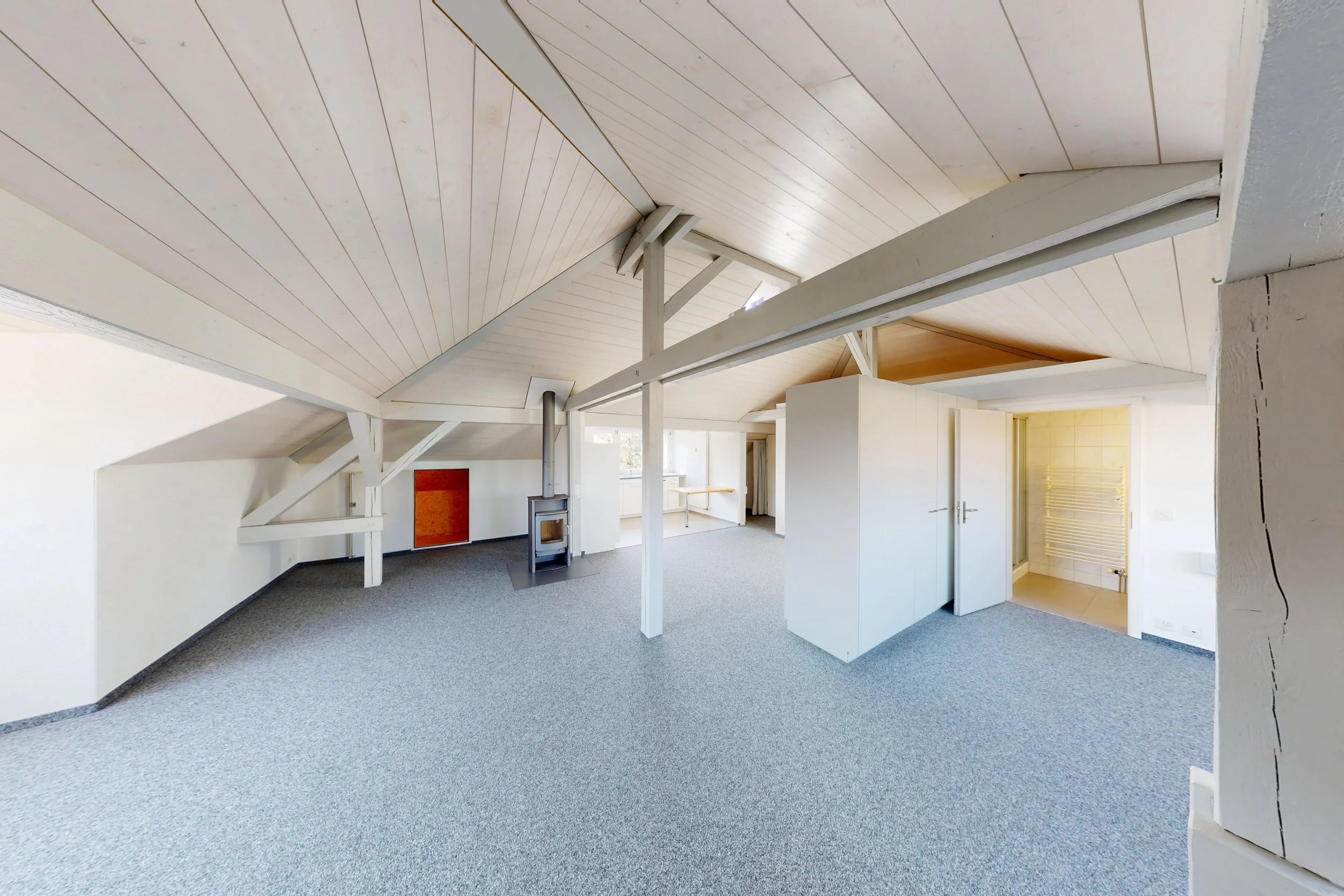 Dach-Loft-10282026_172045.jpg