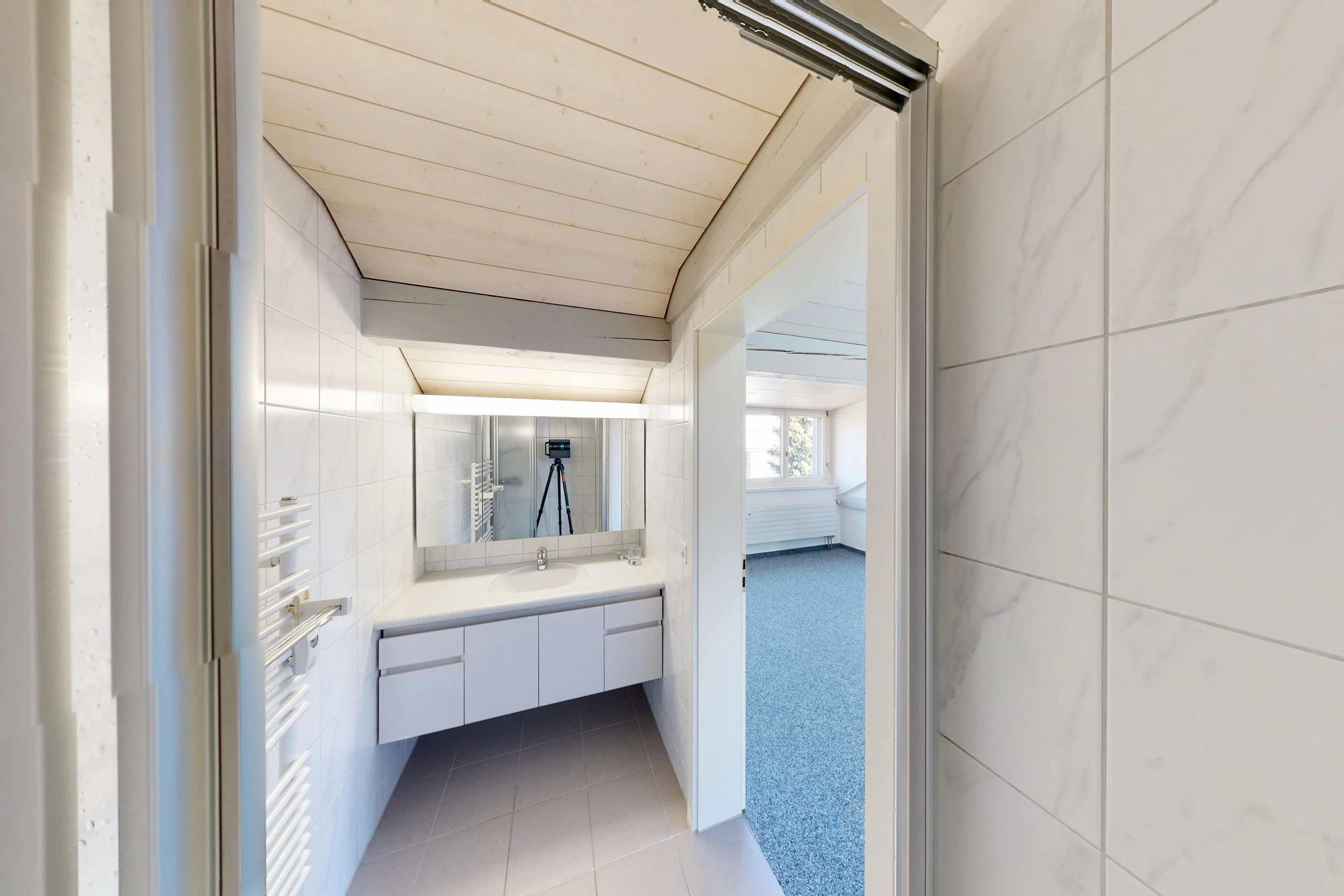 Dach-Loft-10282026_172514.jpg