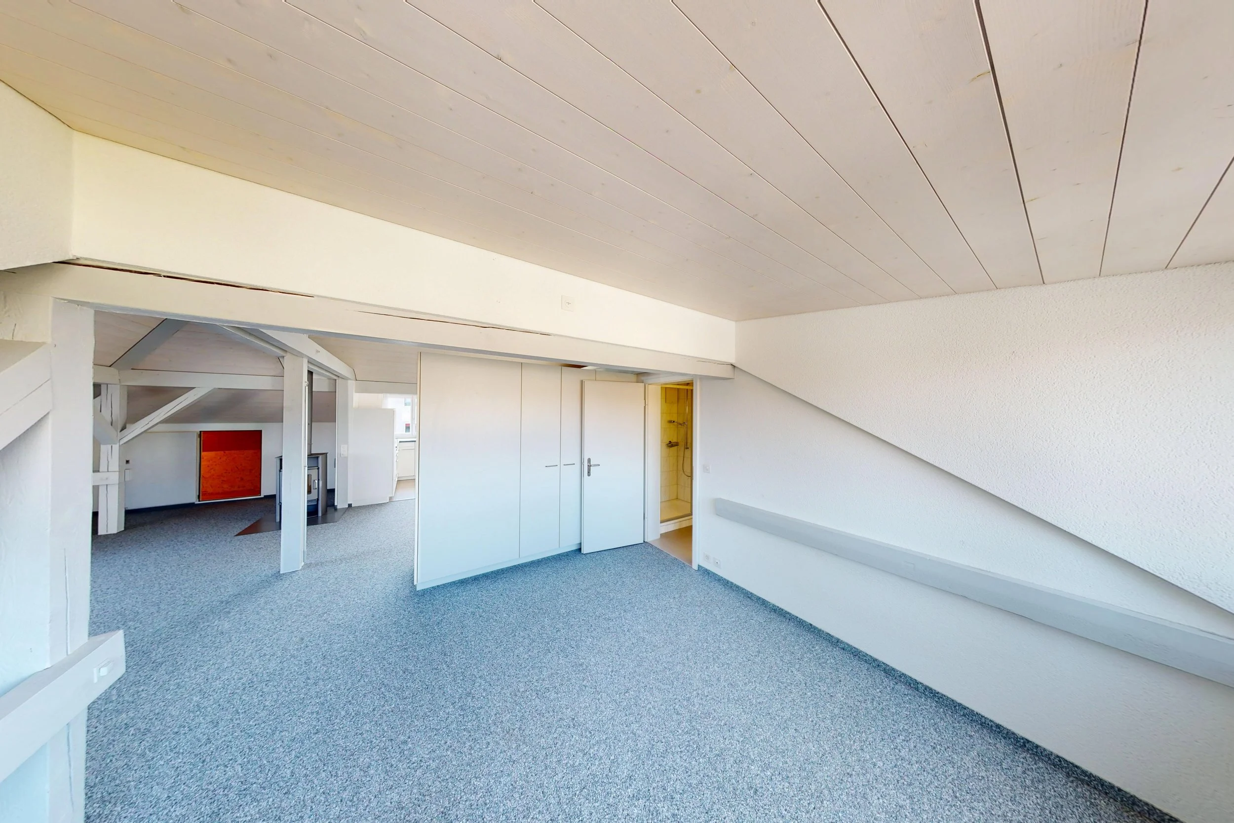 Dach-Loft-10282026_172426.jpg