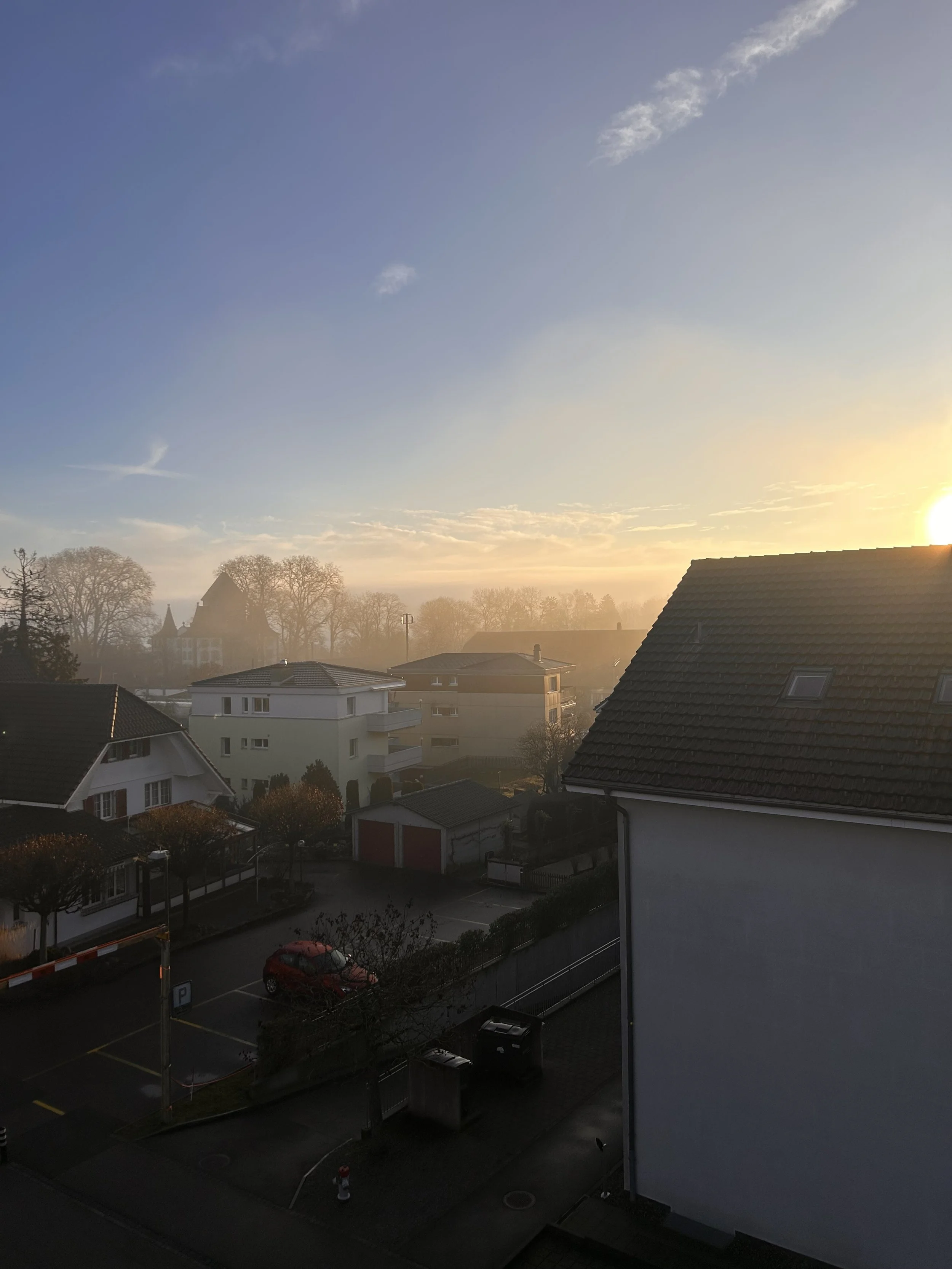 IMG_5572.jpeg