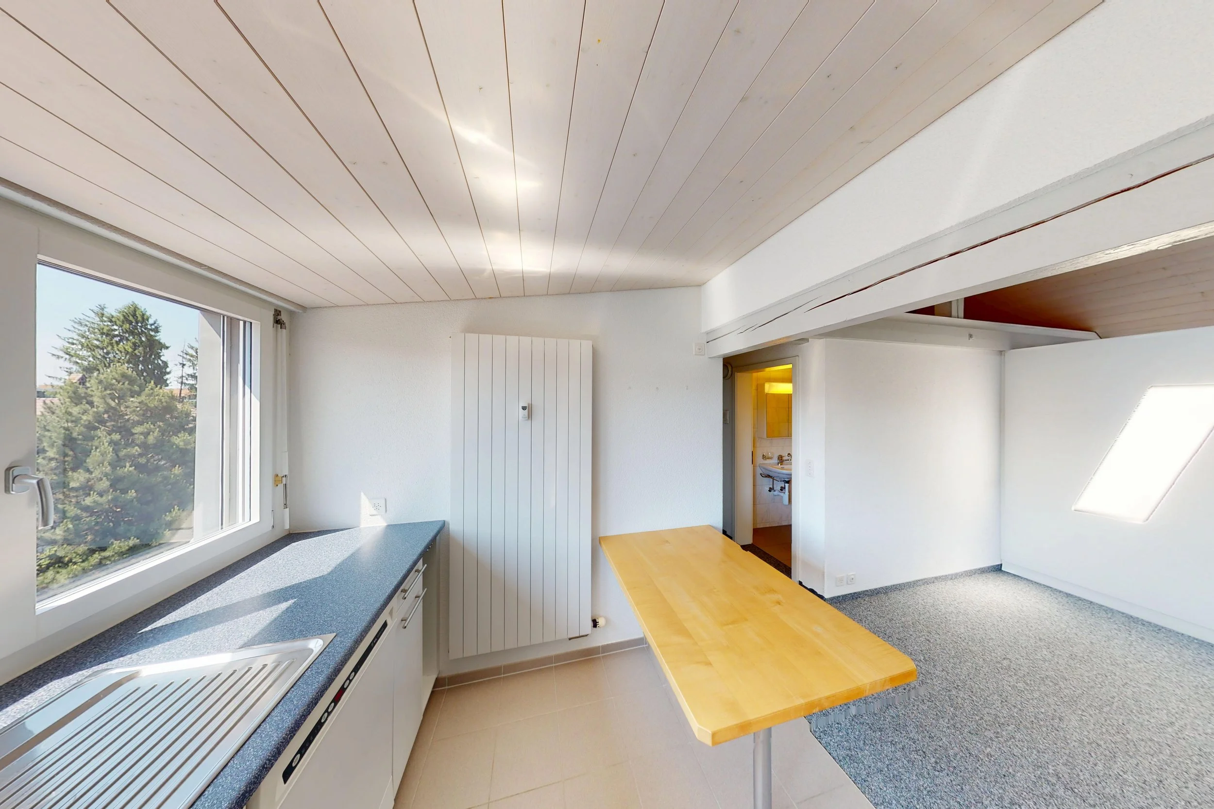 Dach-Loft-10282026_172840.jpg