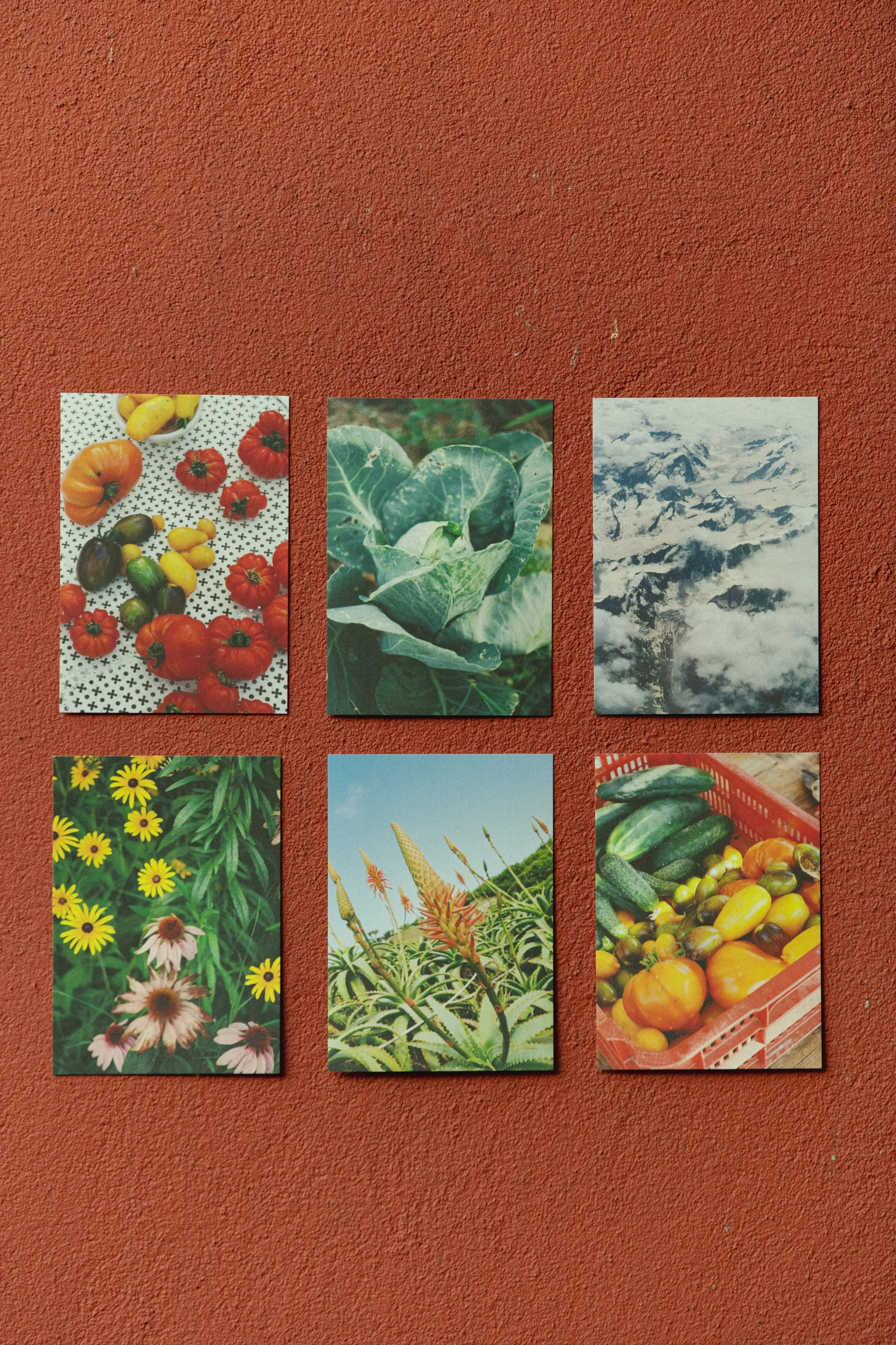 Posters & Kaartjes Dec 2025 -1273.jpg