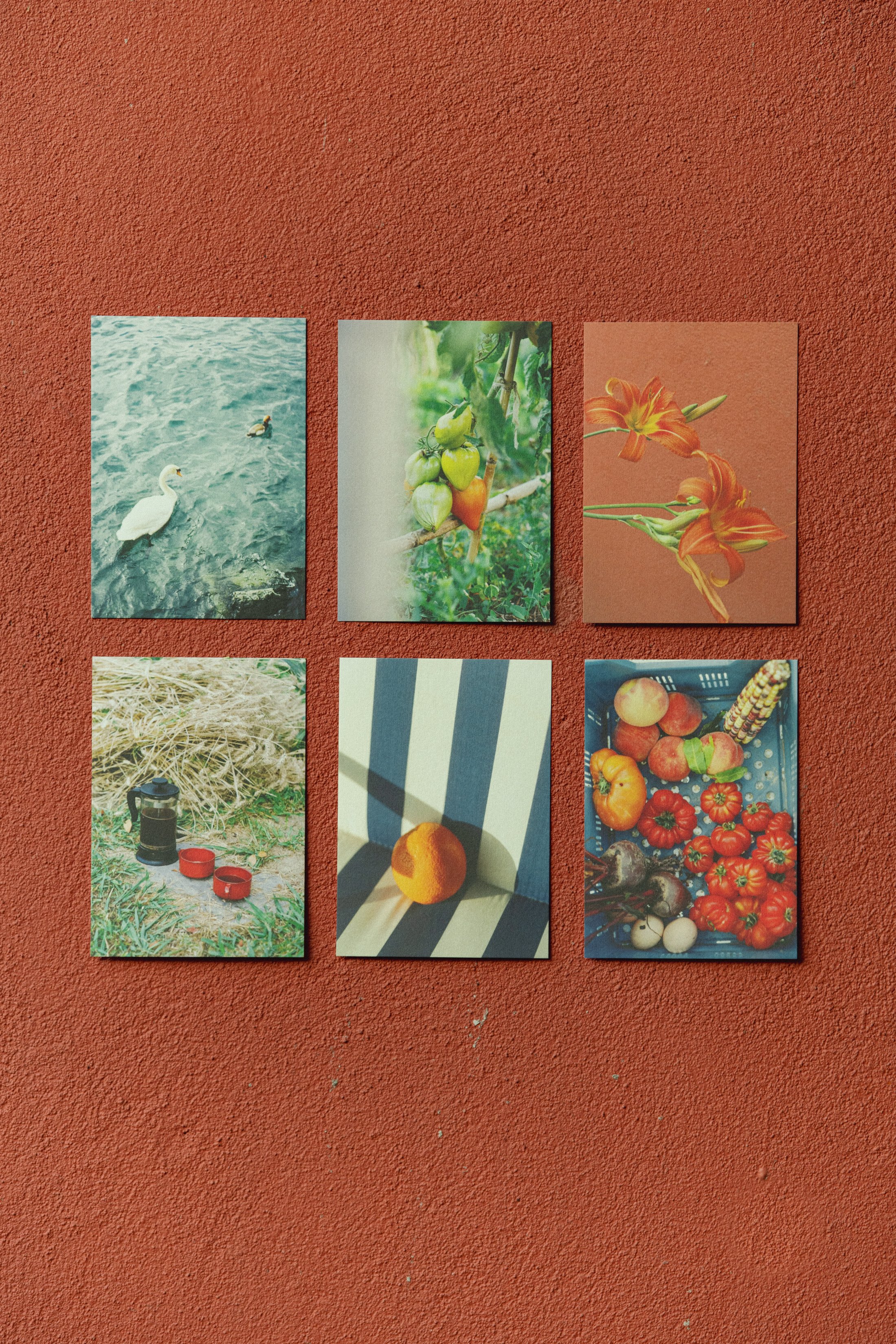 Posters & Kaartjes Dec 2025 -1269.jpg