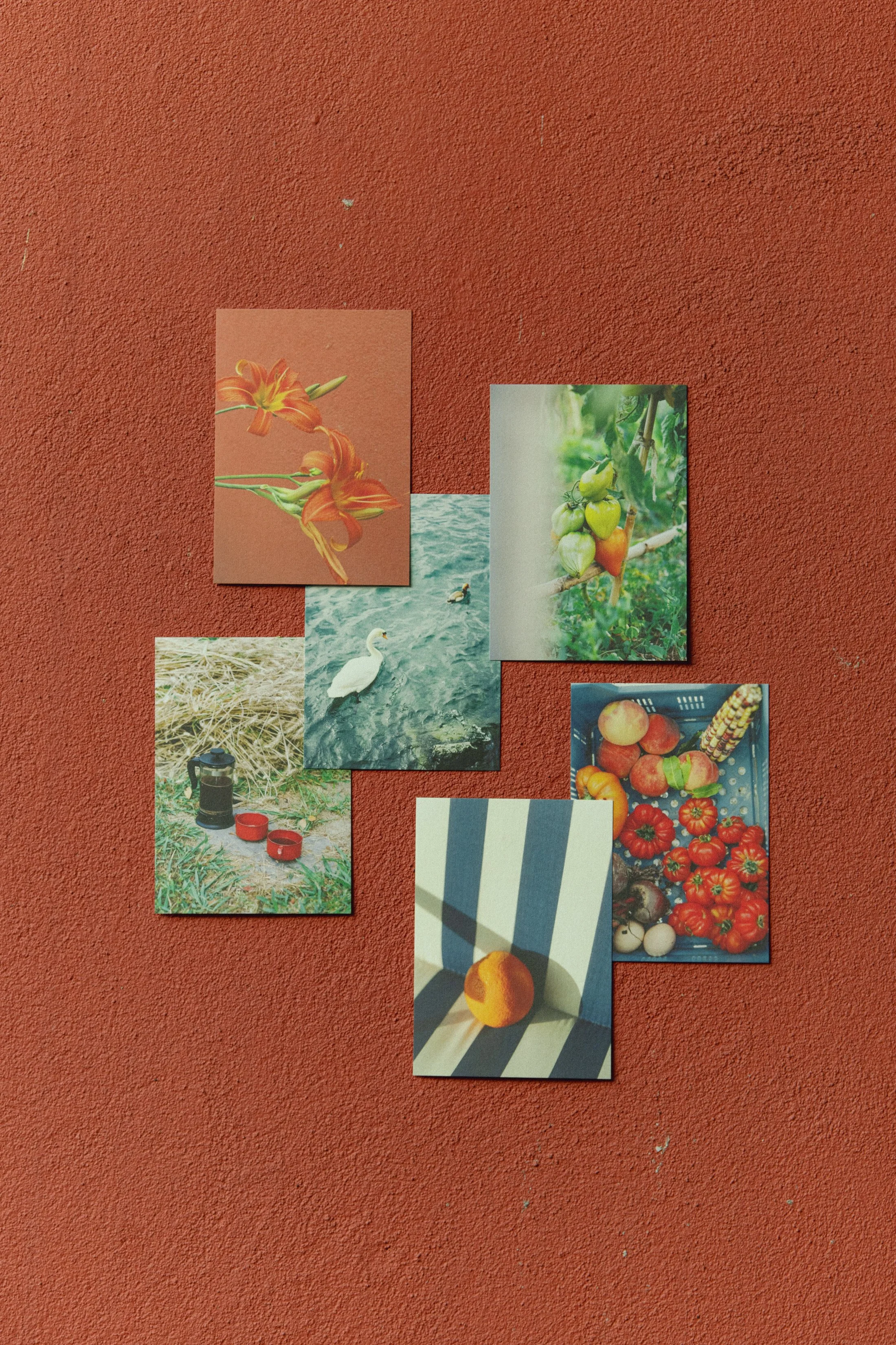 Posters & Kaartjes Dec 2025 -1262.jpg