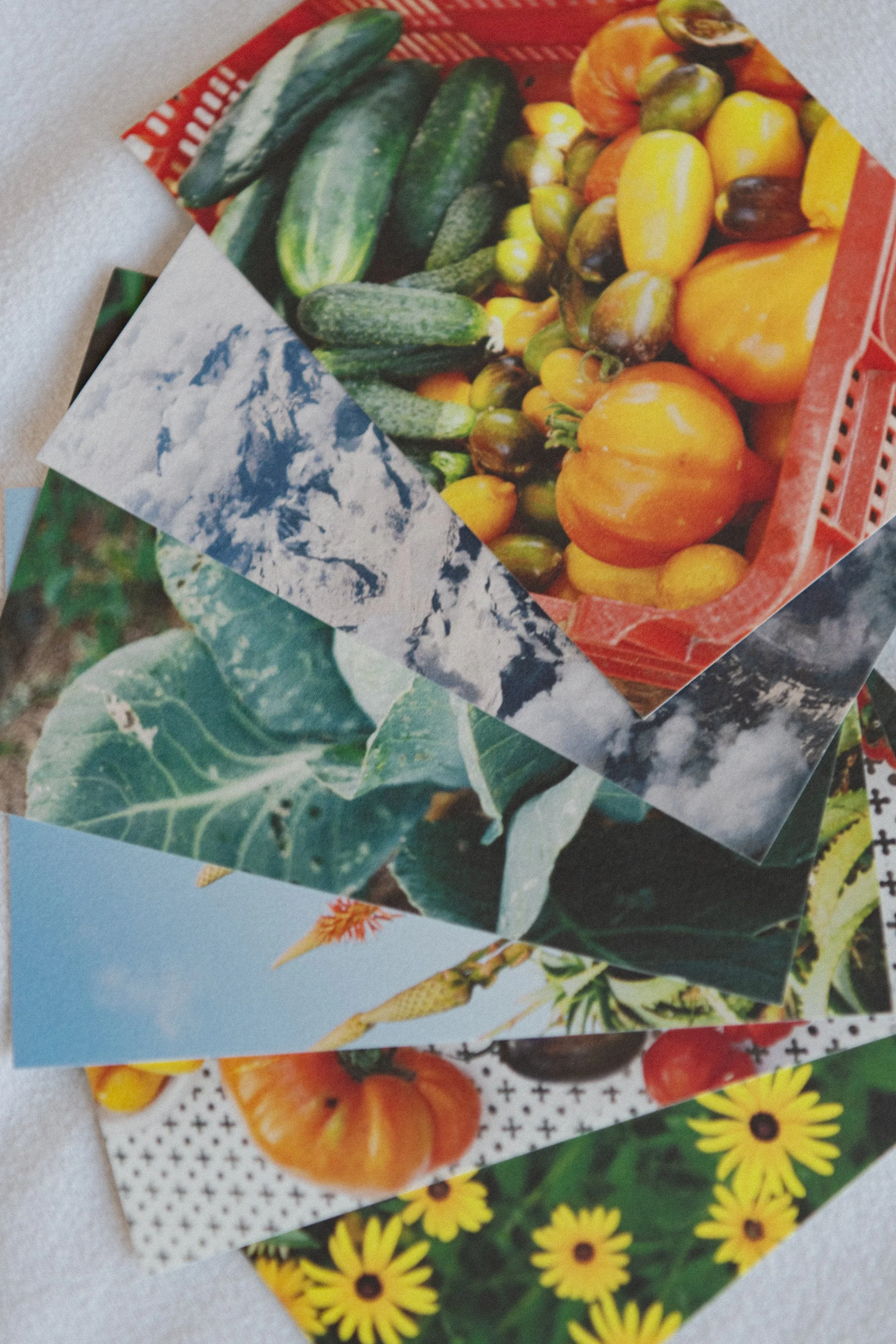 Posters & Kaartjes Dec 2025 -1331.jpg