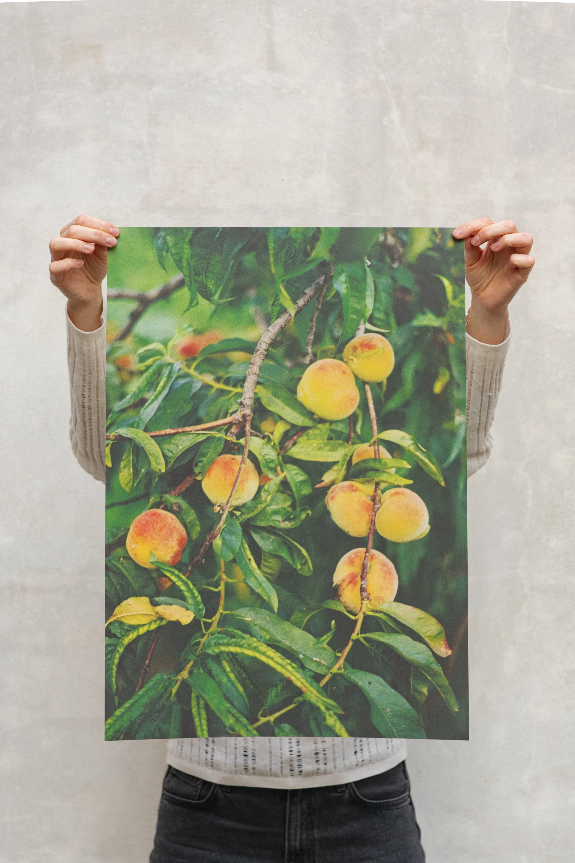 Posters & Kaartjes Dec 2025 -1369.jpg