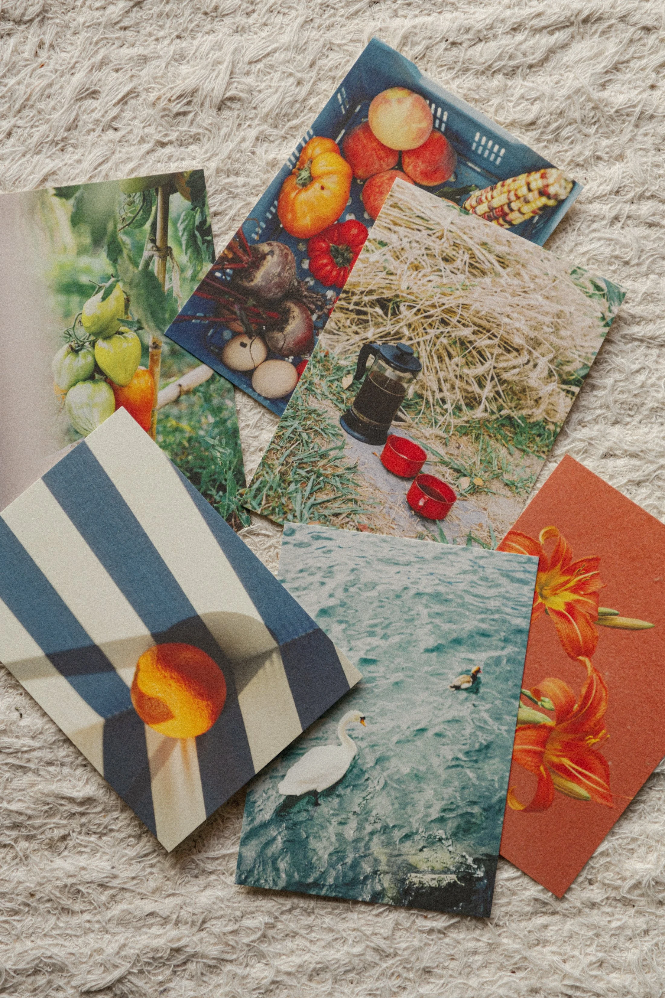 Posters & Kaartjes Dec 2025 -1337.jpg