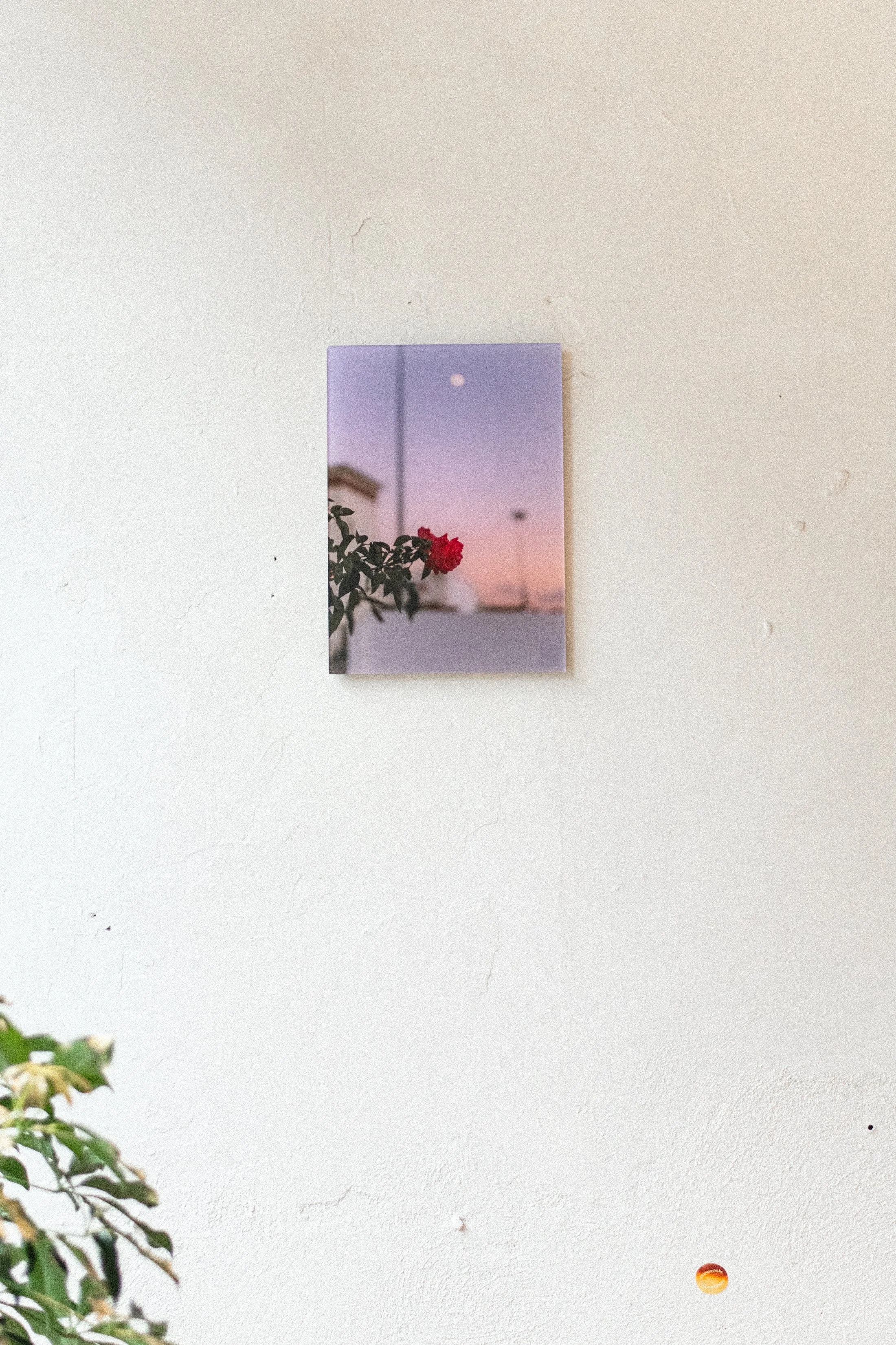 Posters & Kaartjes Dec 2025 -0923.JPG