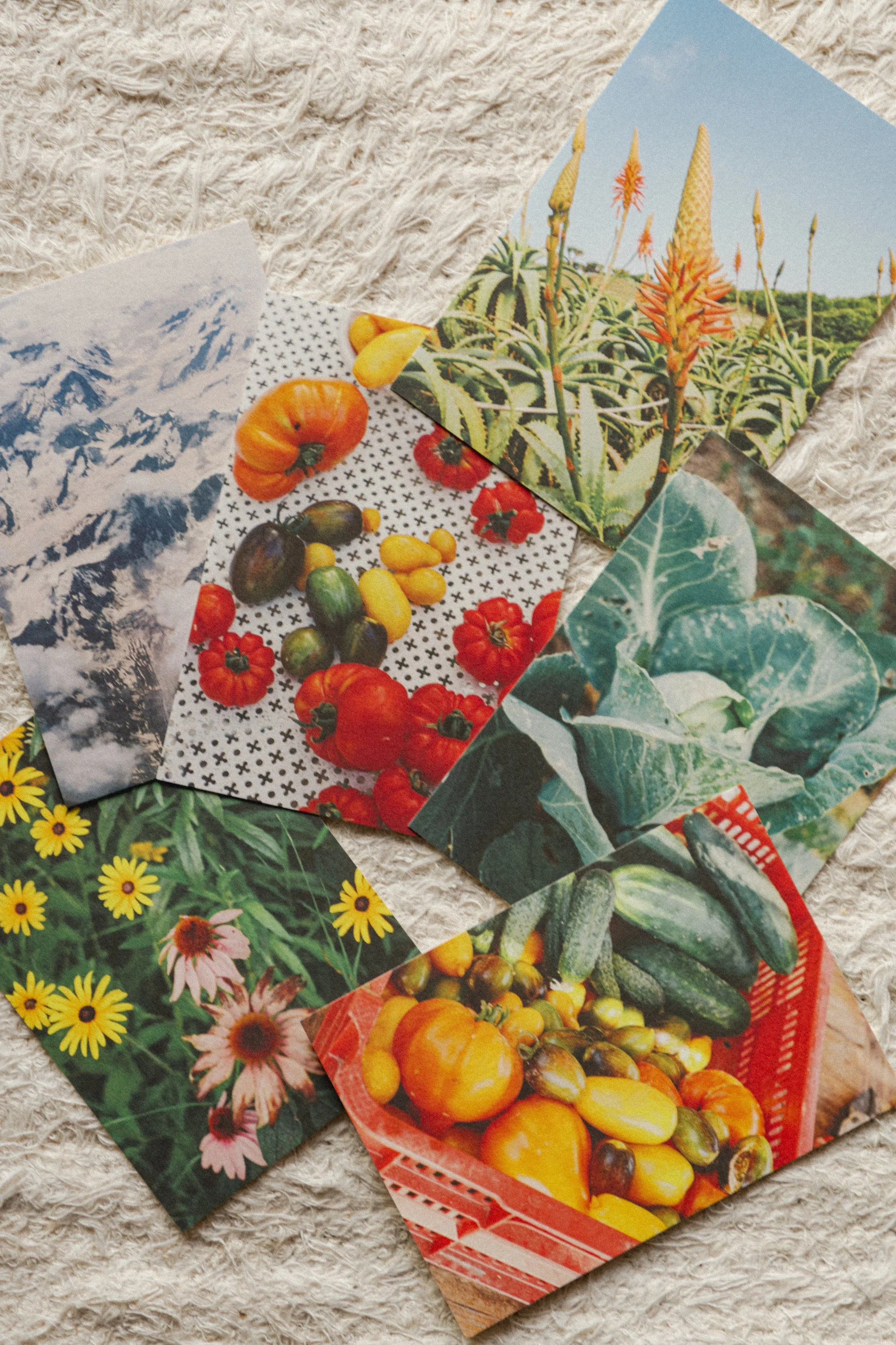 Posters & Kaartjes Dec 2025 -1340.jpg