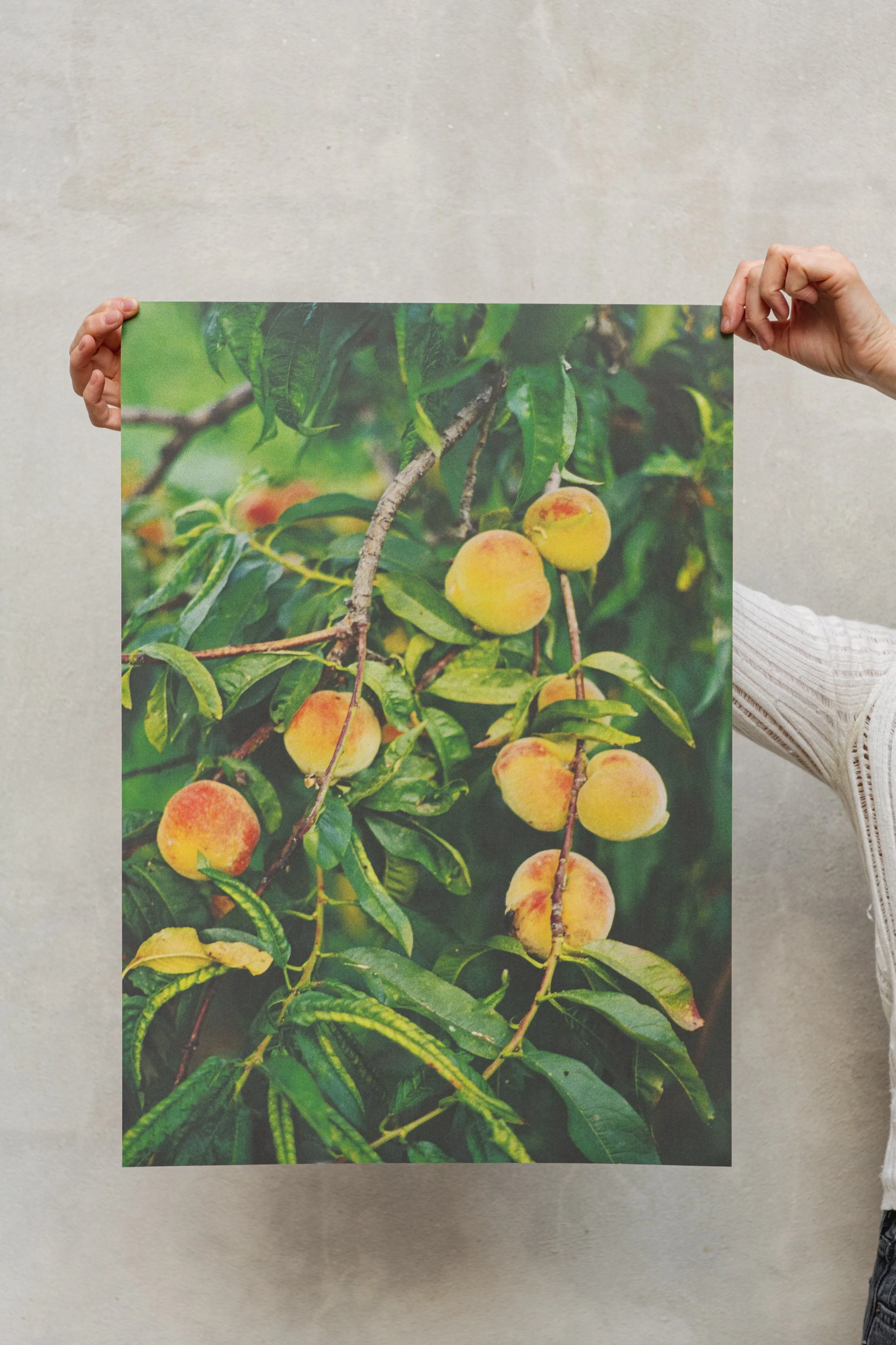 Posters & Kaartjes Dec 2025 -1371.jpg