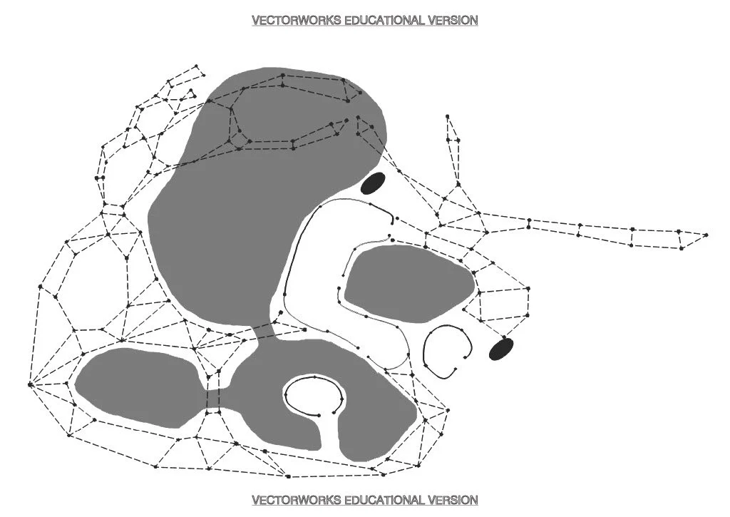 1:100 Floor Plan
Digital - Vectorworks