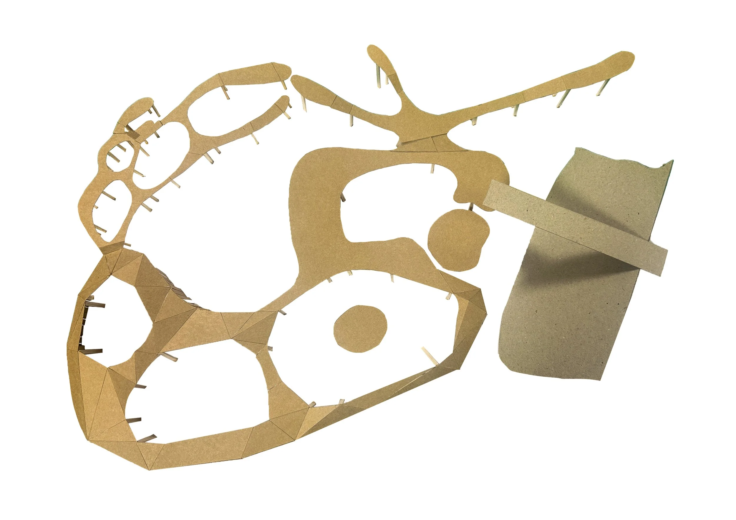 1:100 Full Model
Balsa wood and brown card