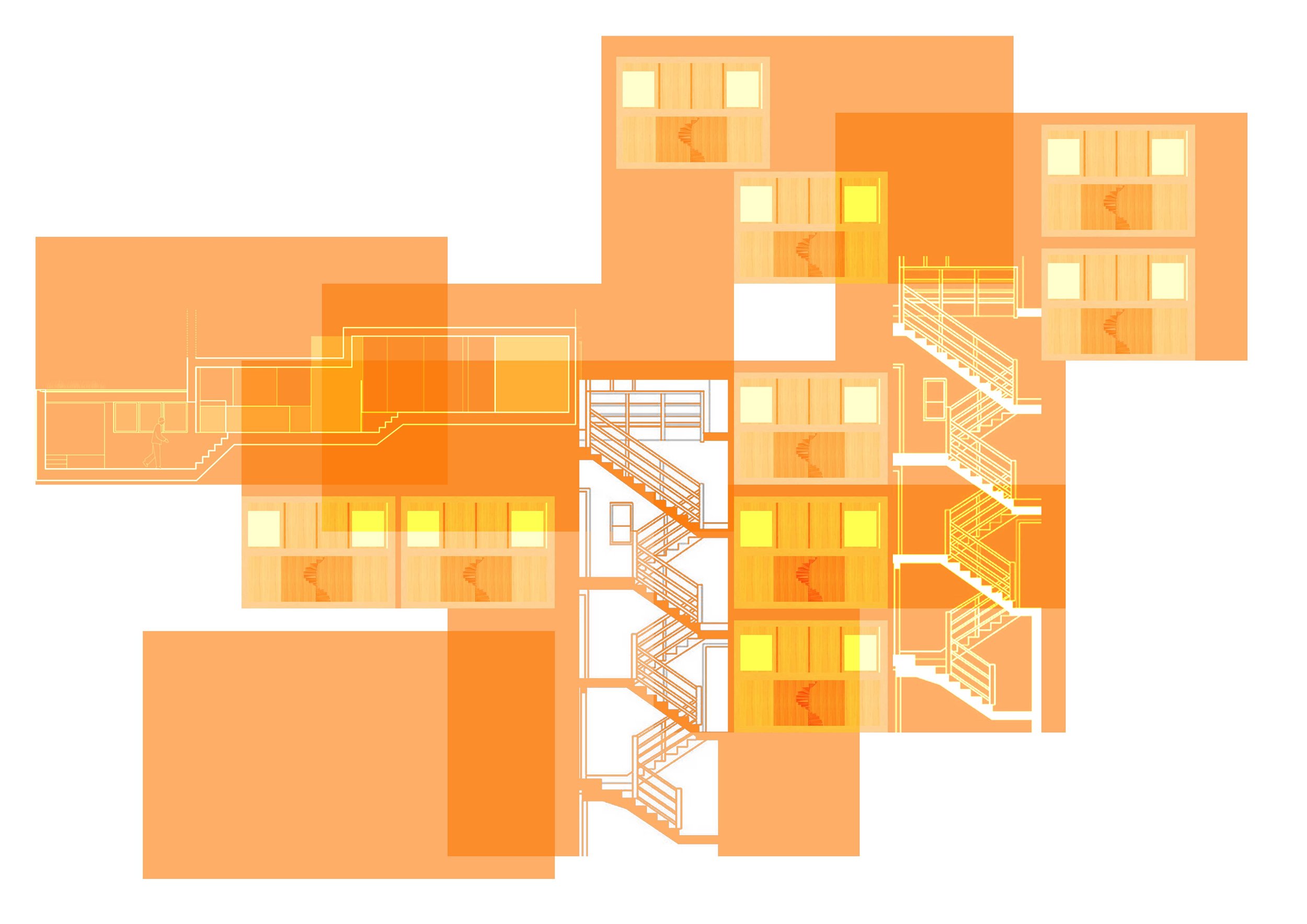 development collage.jpg